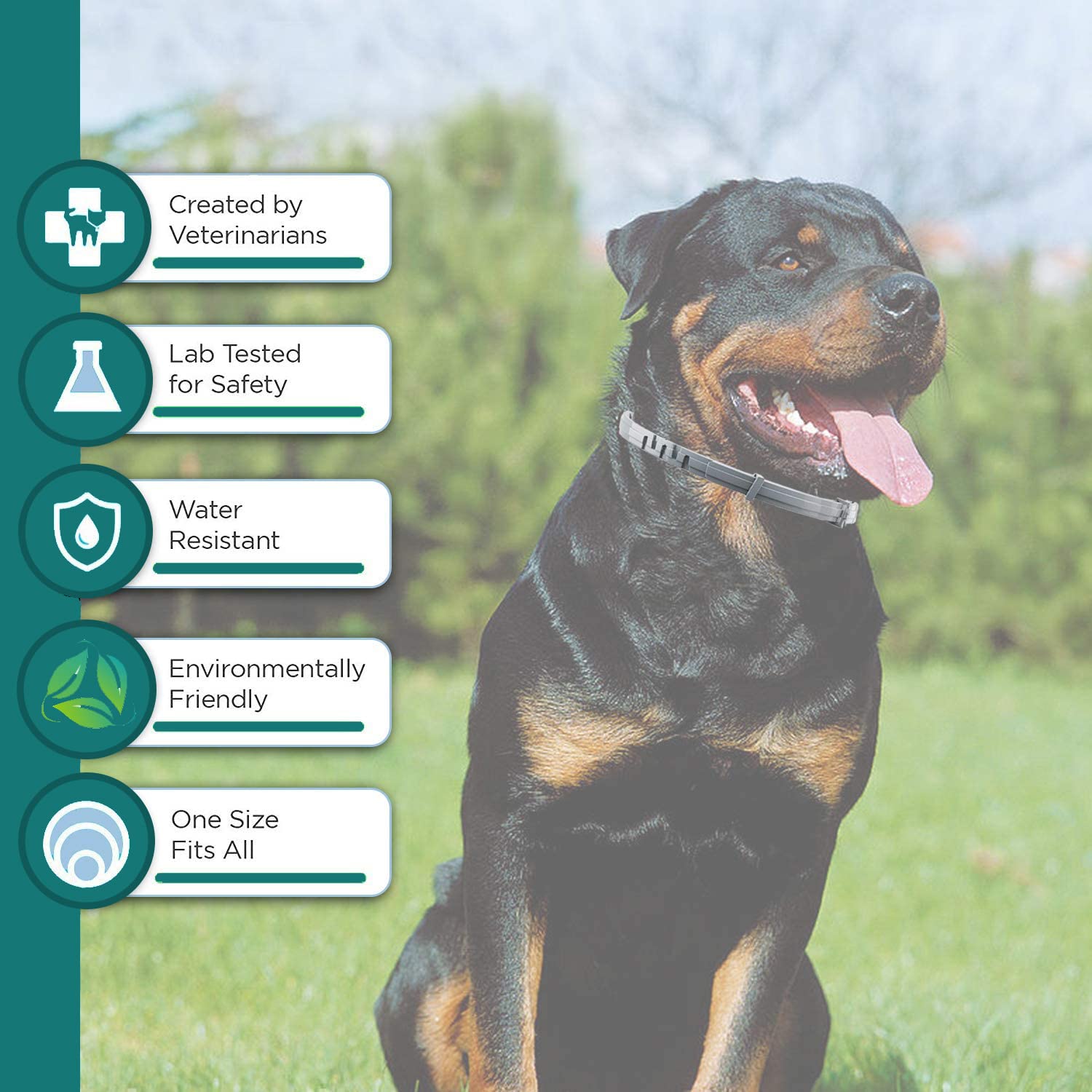 ShengKou Natural Flea and Tick Collar for Puppies - 24-Month Protection, Waterproof, 4-Pack