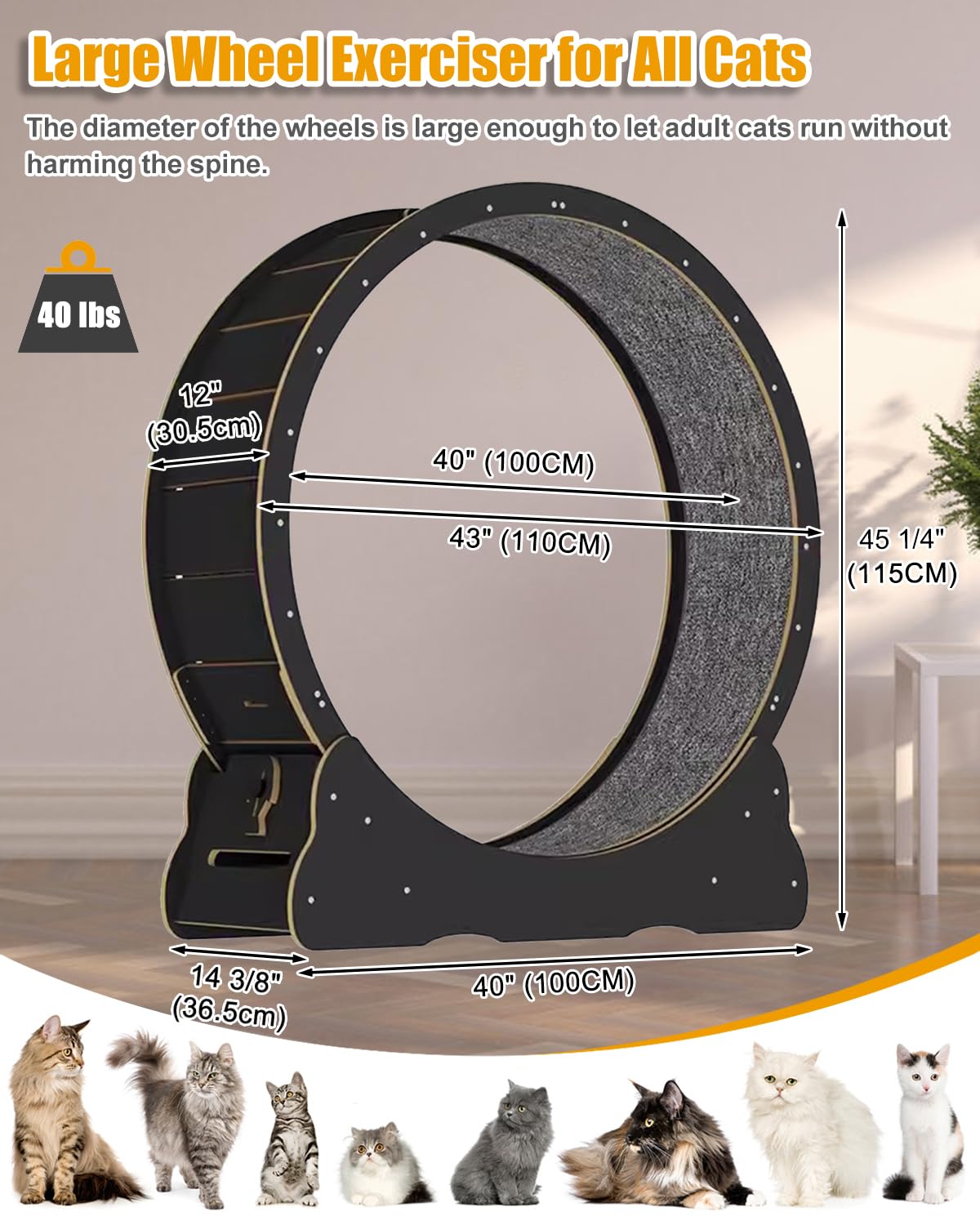 Large Cat Exercise Wheel 46 inch - Black Solid Wood Kitten Wheel Exerciser for Indoor Cats, Safety Cat Treadmill with Lock & Min