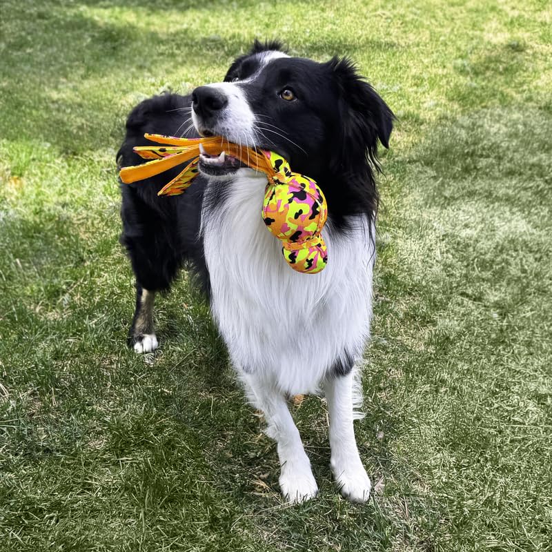 Kong Wubba Ballistic High-Viz Dog Toy - Squeaky Durable Tug & Toss Toy - Bright Colors For High Visibility - (High-Viz Wubba/Bum