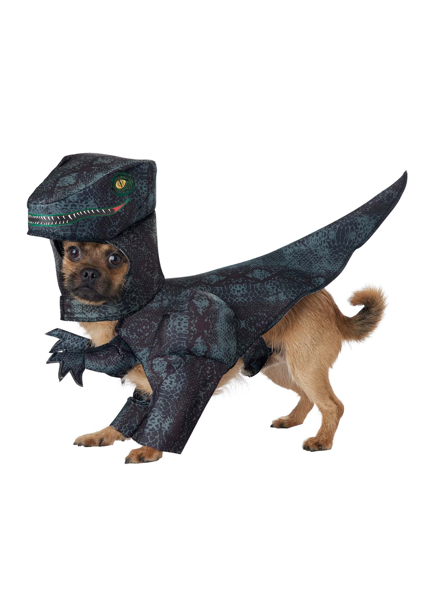 Dog Pupasaurus Rex Costume Large