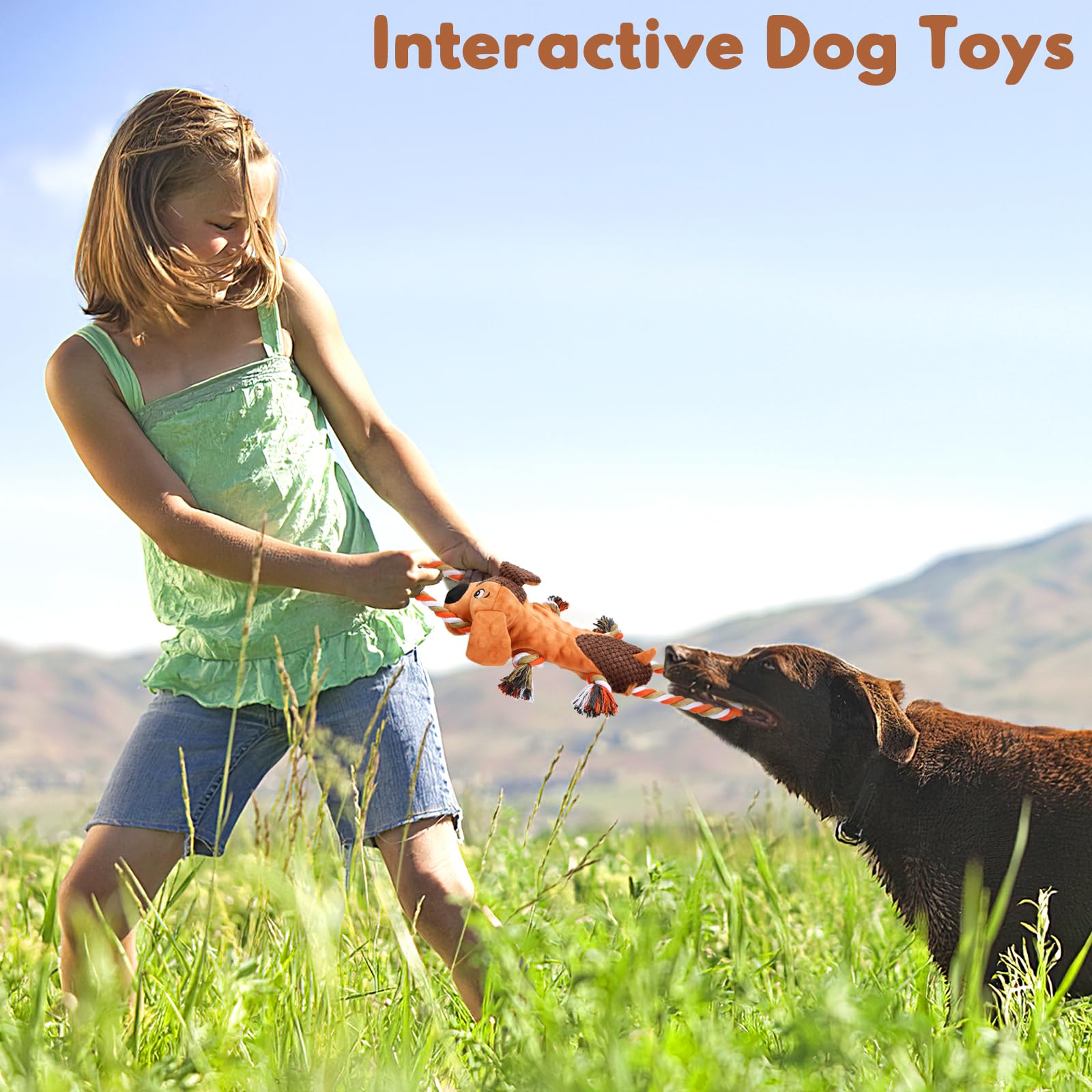 Letsmeet Squeaky Dog Toys, Tug Of War Dog Toy For Large Dogs, Plush Puppy Toys With Pull Rope, Interactive Dog Toys For Small, M