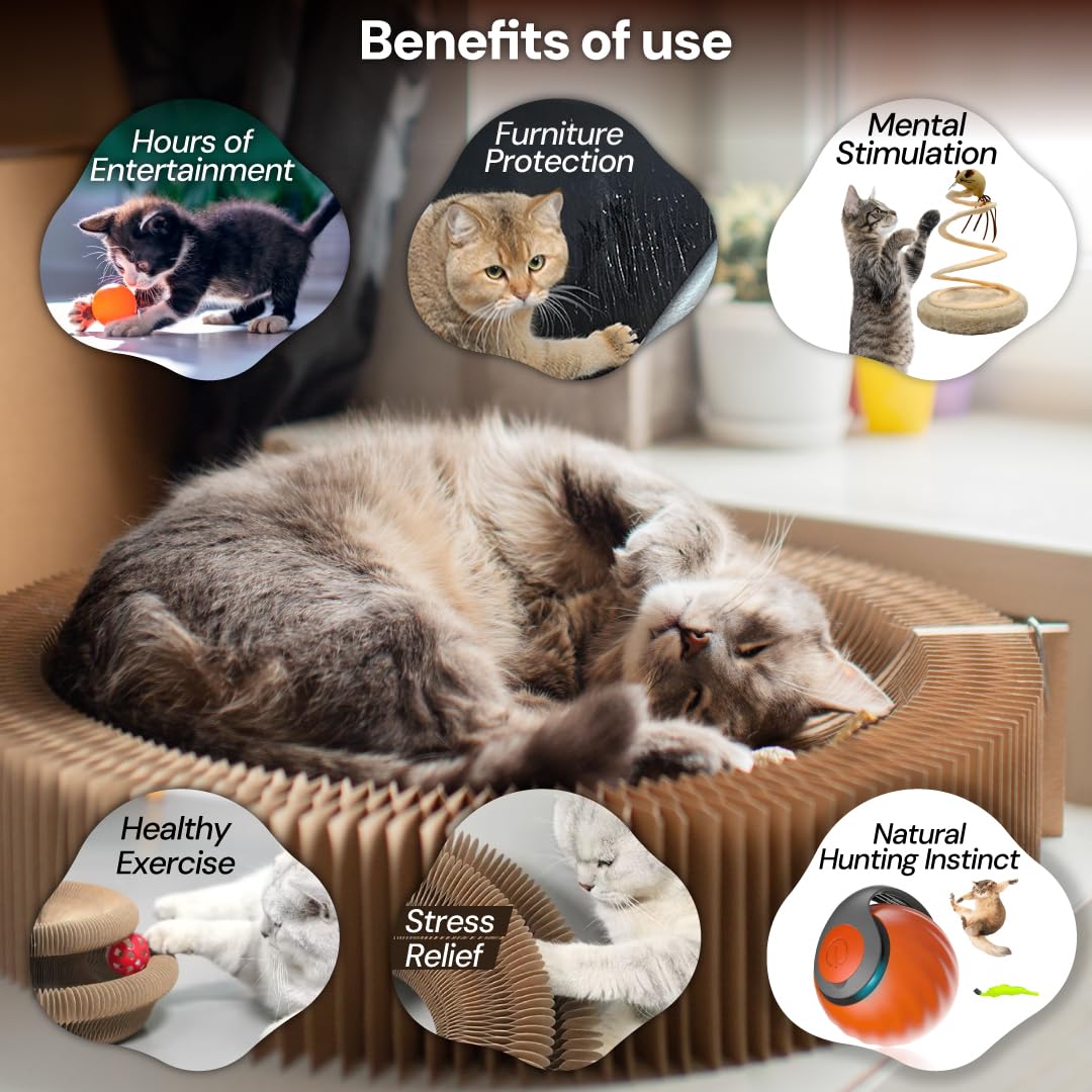 JUMPSELL Kitty Kurlz Cat Toy - Interactive Cat Scratcher Set with Flexible Cardboard Accordion, Plush Mouse & Magic Organ Toy -
