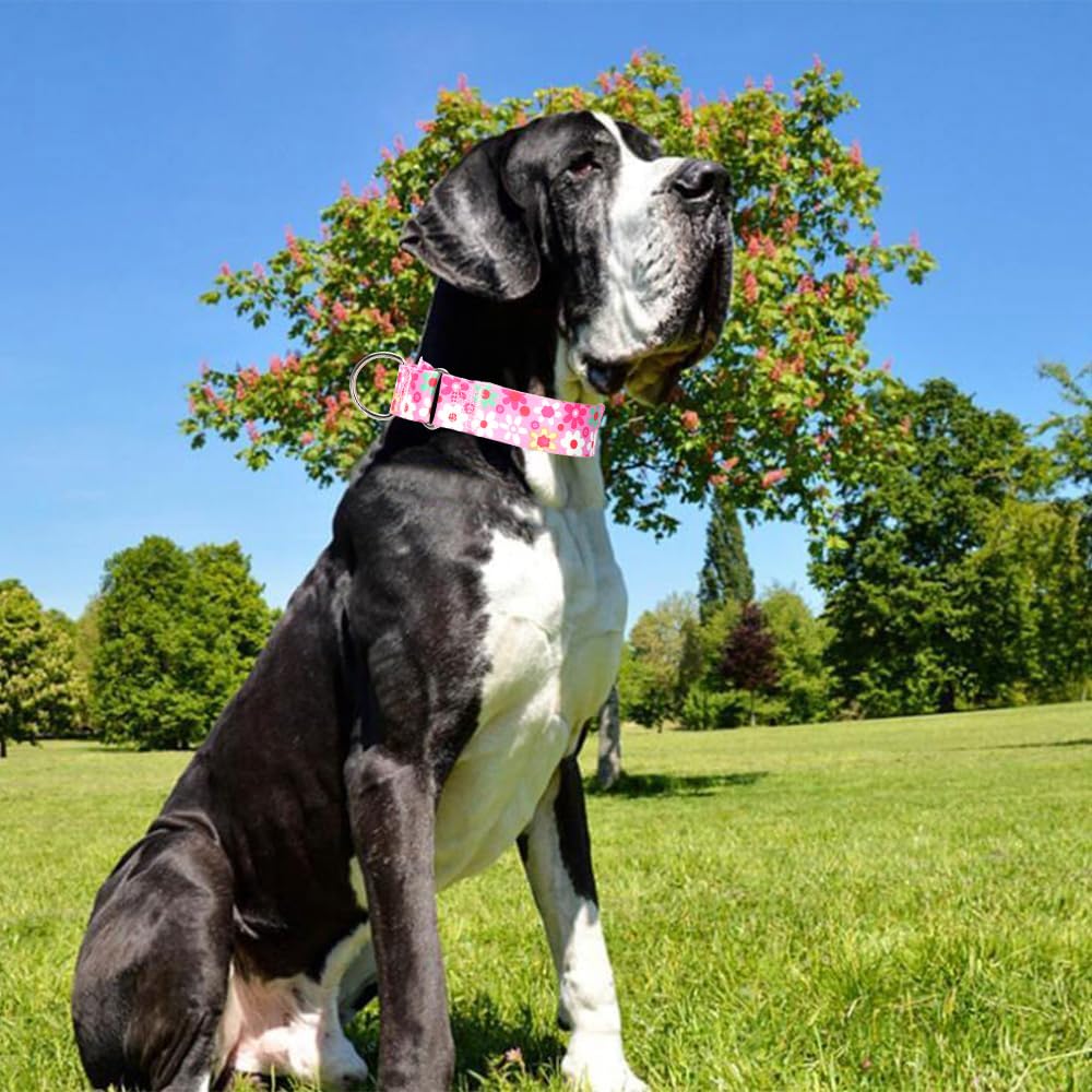 Wide Pink Martingale Collar For Dogs,1.5 Inches Martingale Collar With Flowers Pattern,No Slip Dog Collar Perfect For Training,W