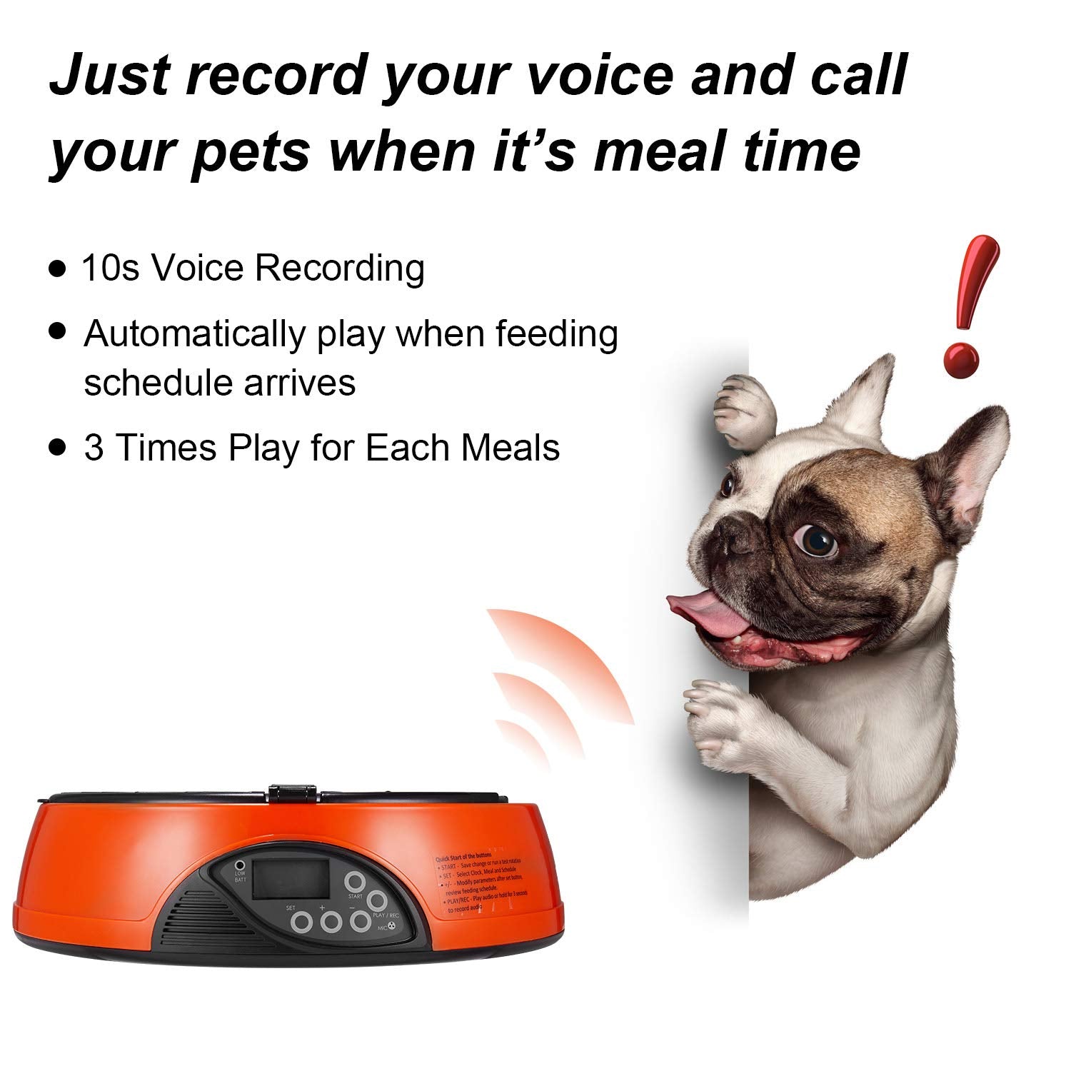 Qpets Af 108 Plus Programmable Automatic Pet Feeder For Dog, Cat & Other Small Pet