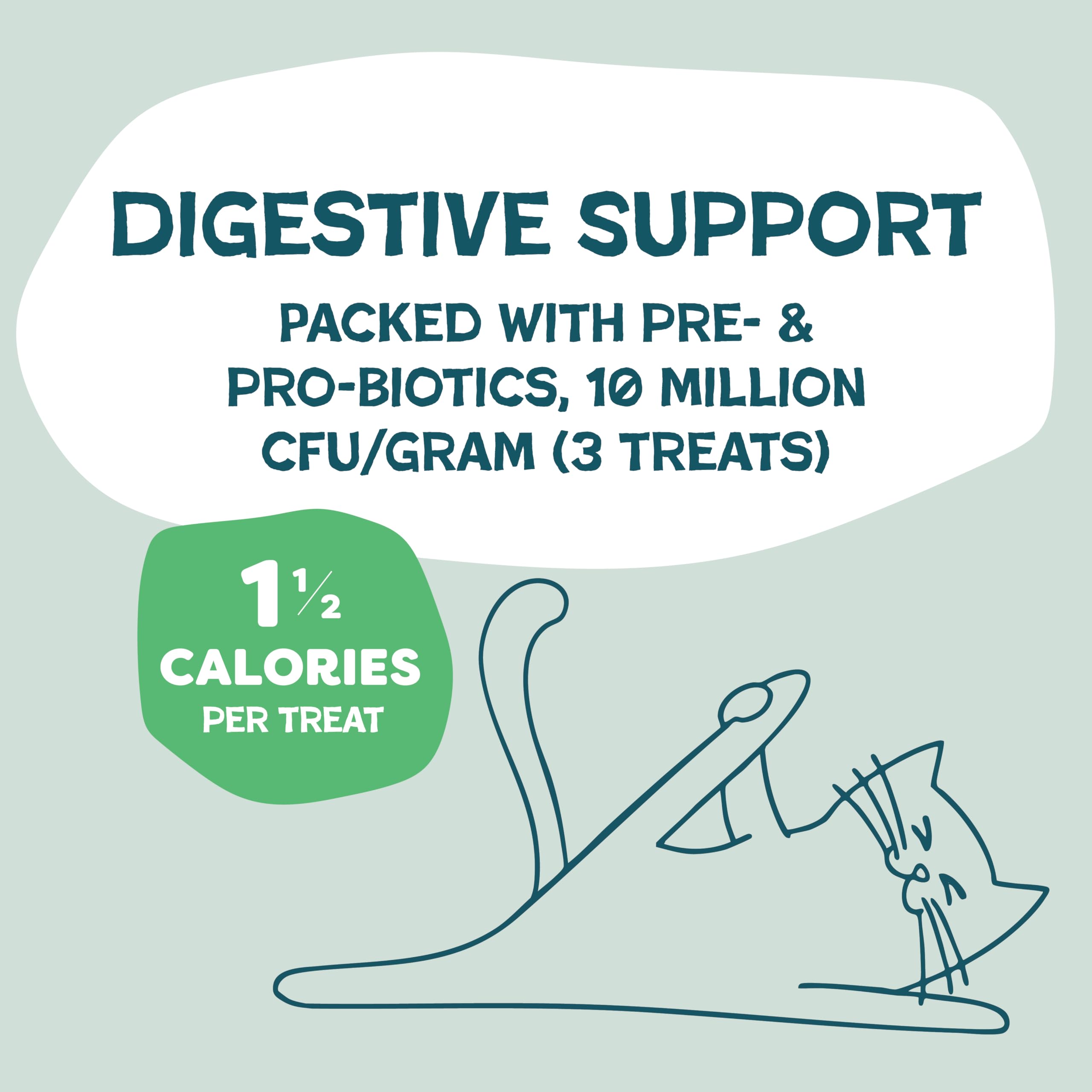 Shameless Pets Crunchy Cat Treats - Catnip Treats for Cats with Digestive Support, Kitten Treats with Real Chicken, Natural & He