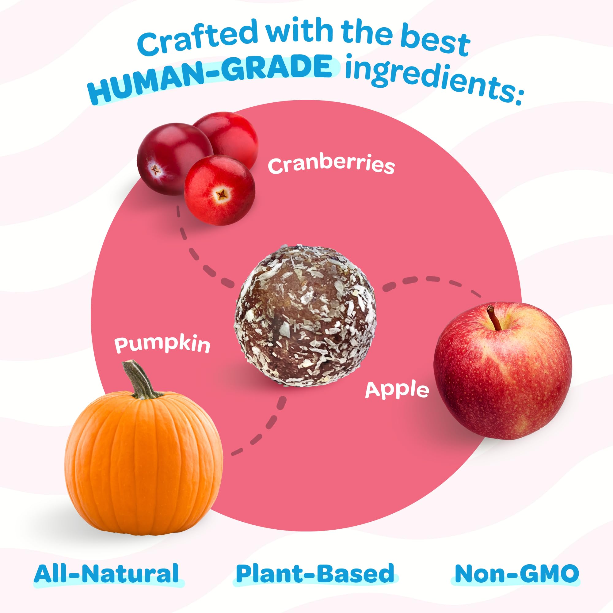 TREAT-A-BALLS Cranberry, Pumpkin & Apple Healthy Dog Treats - Vegan, Non-GMO, Gluten-Free, 7oz (Pack of 6) - All Natural, Soft &