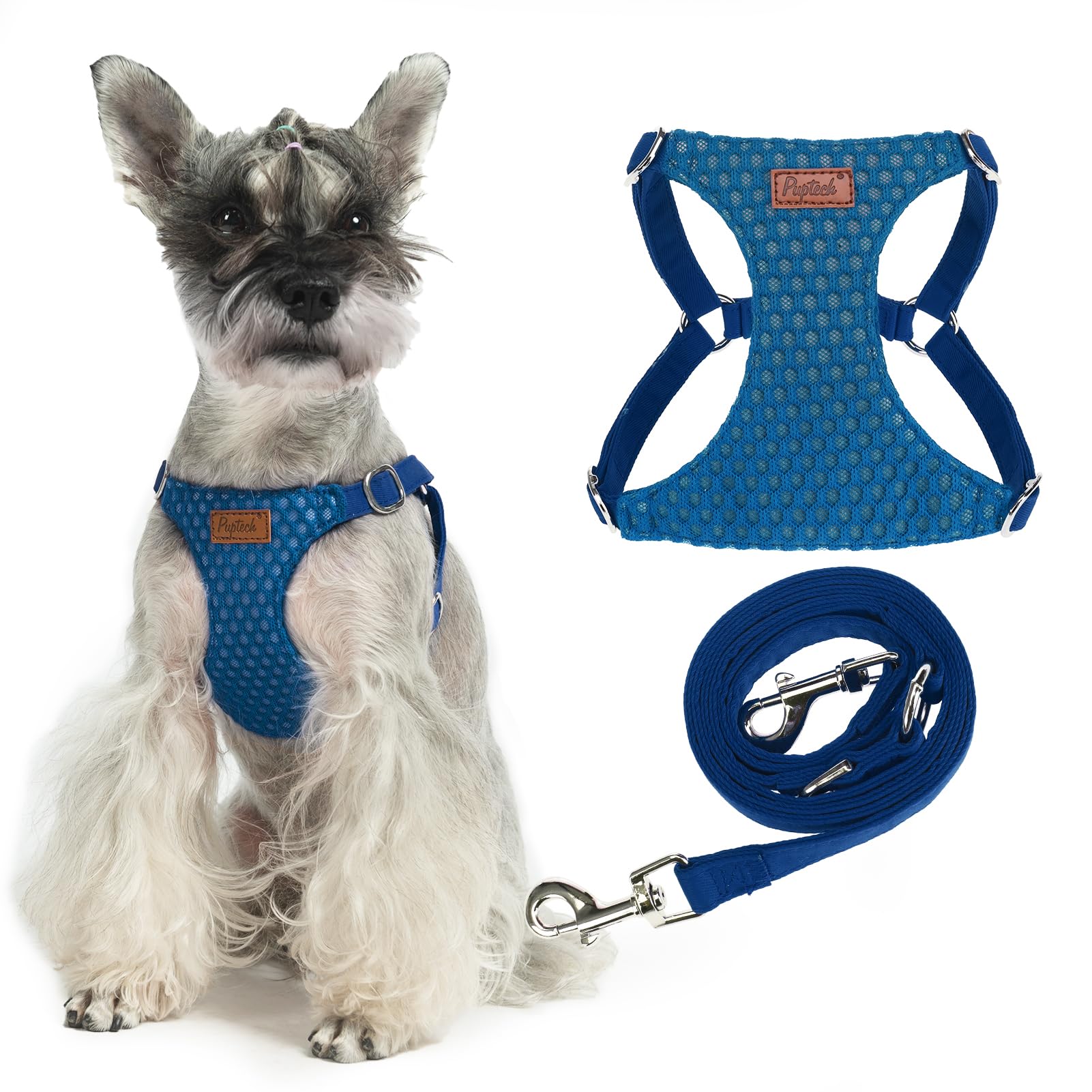 Pupteck Dog Harness And Leash Set Small Sized, Step-In Cute Puppy Harness, Soft Lightweight Padded Vest, Escape Proof No Pull Pe