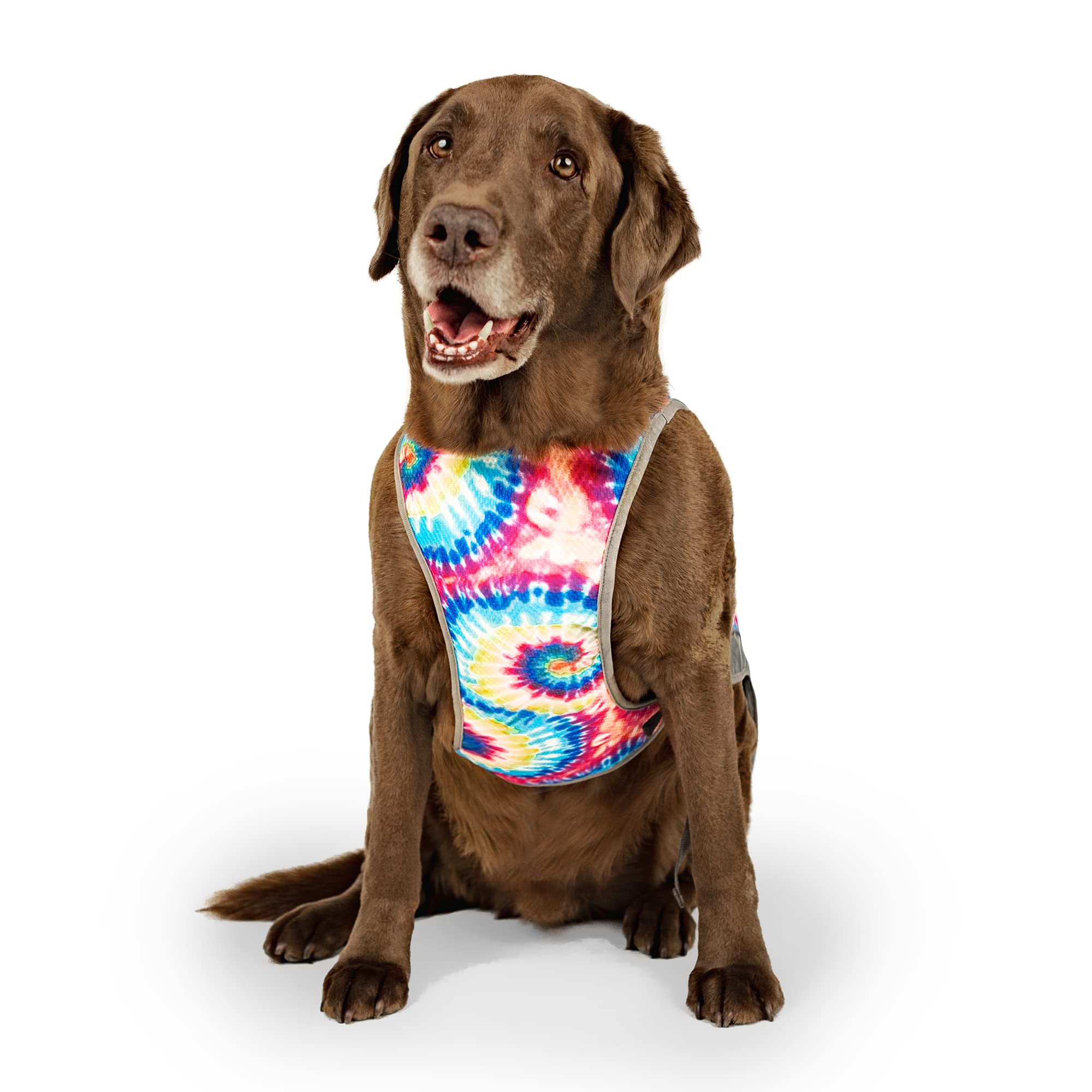 Canada Pooch Dog Cooling Vest - Evaporative Cooling Vest For Dogs With Breathable Mesh Material & Reflective Lining, Adjustable For Dogs 8 (7-9' Back Length), Tie Dye