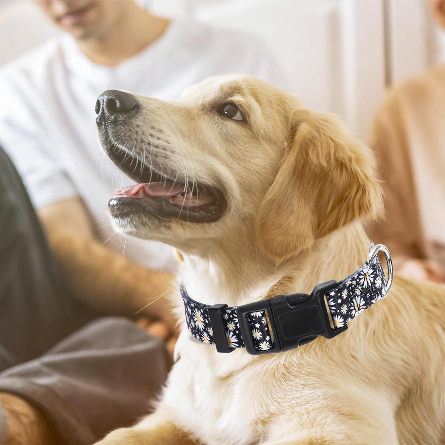 Dog Collars For Small Dogs With Daisy Patterns, Cute Dog Collar Buckle Collar For Boy Girl Dogs, Adjustable Comfy Soft Durable P