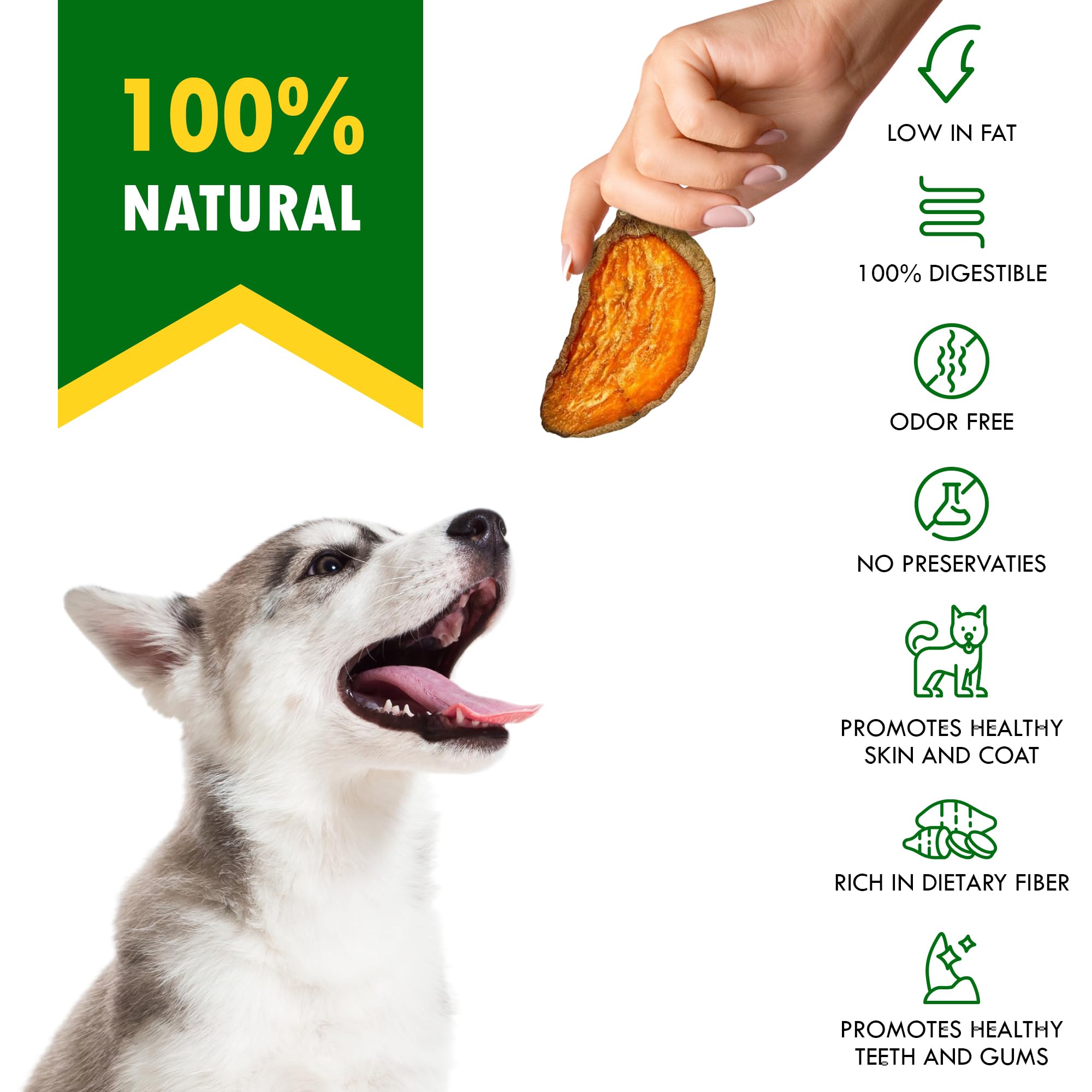 Dog Treats Sweet Potato Chips 11 oz - All Natural Pet Snack Chews - Grain Free & Human Grade Dried Snacks in Bulk - Best Jerky f