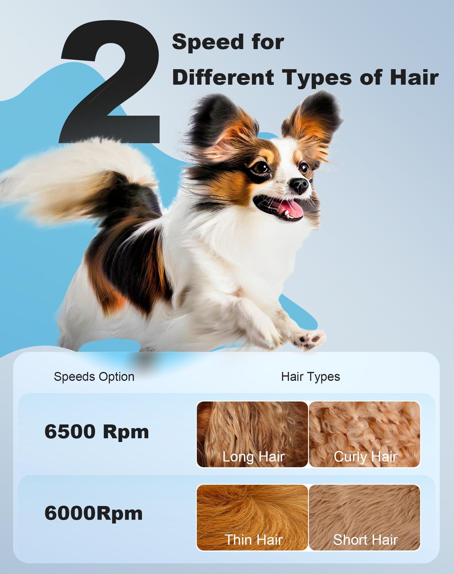 Lexflext 3 In 1 Small Dog Grooming Kit, 2 Speed Rechargeable Dogs Hair Clippers With Guards, Low Noise Electric Dog Paw Trimmer