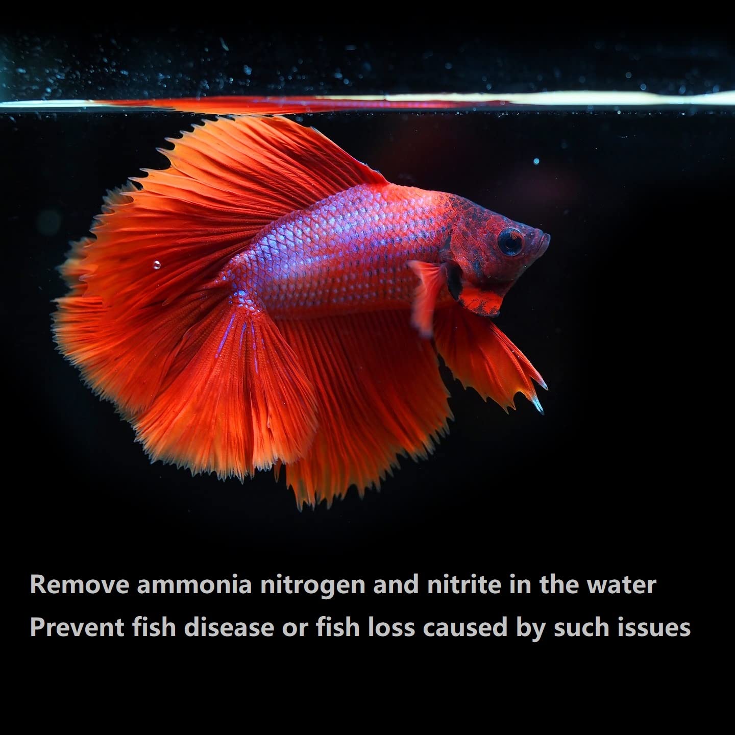 PuriResin Aquarium Filter Media, Organic Filtration Resin, for Freshwater and Saltwater Fish Tank, Removes Driftwood Tannins, 10