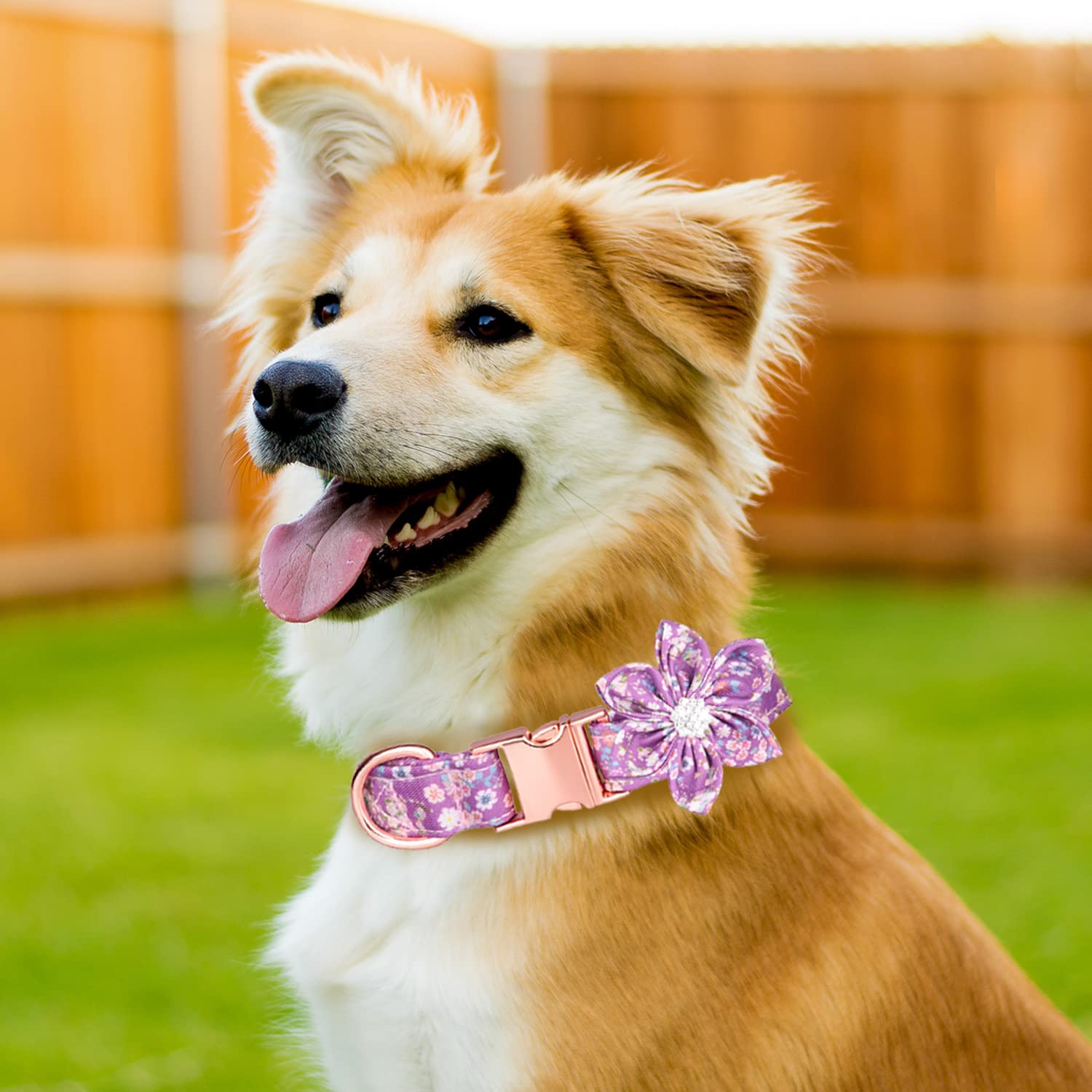 Tdtok Girl Dog Collar For Small Medium Large Dogs, Cute Dog Collar With Detachable Flower Safety Metal Buckle Adjustable Floral Pattern Soft Comfy Cotton Dog Collars, Fit Necks 10.2-23.6’’