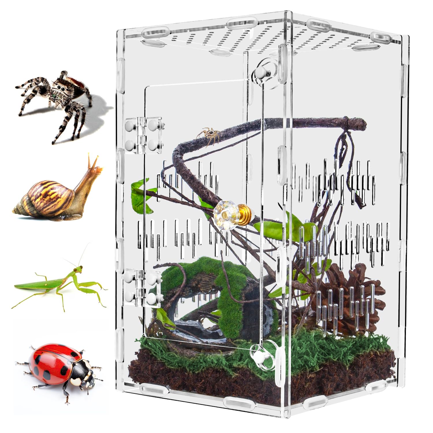 Acrylic Jumping Spider Enclosure, 10''*6''*6'' Large Ventilated Reptile Terrarium With Front Opening Door For Tarantula, Insects