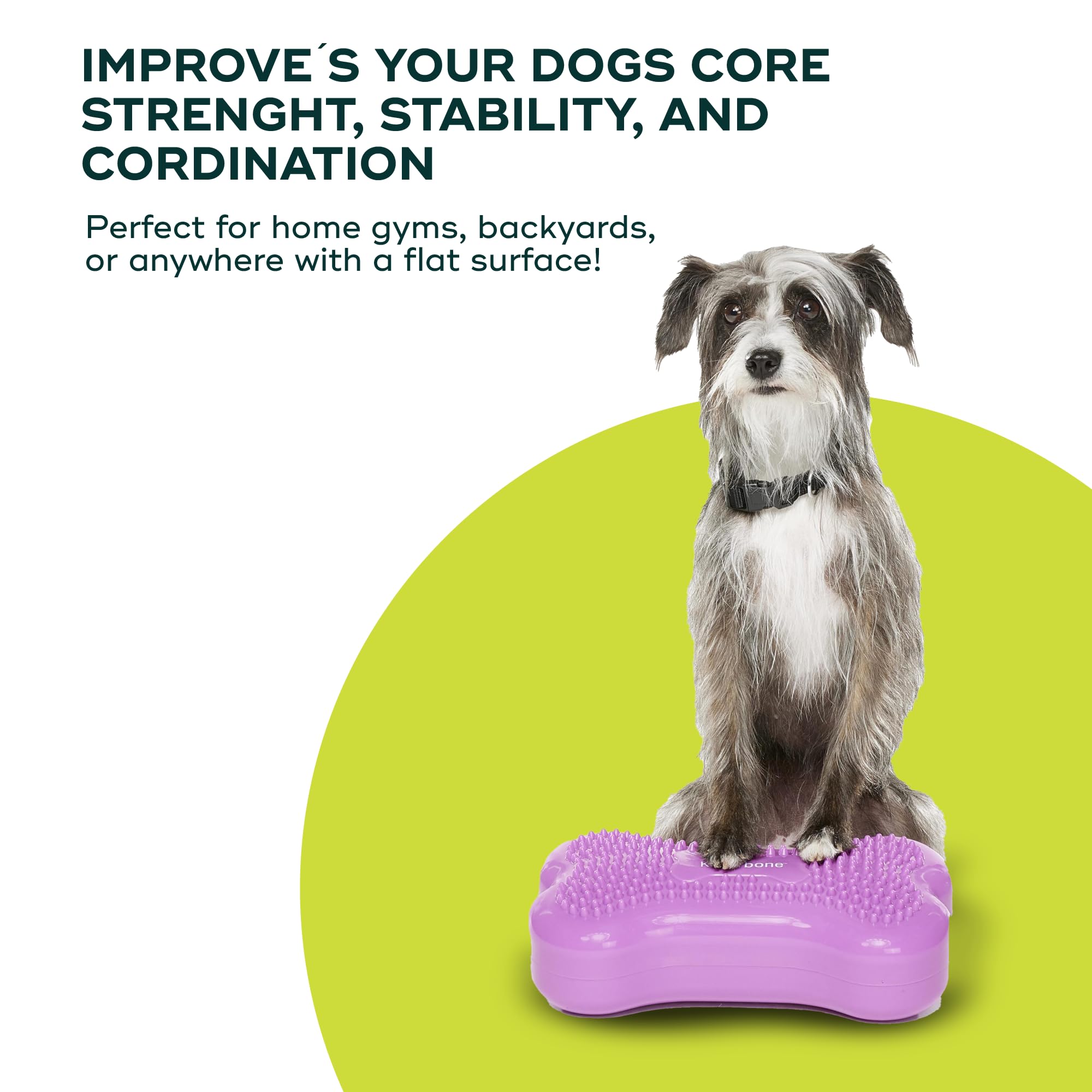 Fitpaws?K9Fitbone?- Mini, Razzleberry (Set Of 2) | Dog Balance Training Platform & Exercise Equipment | Workout Tool For Strength, Core & Stability
