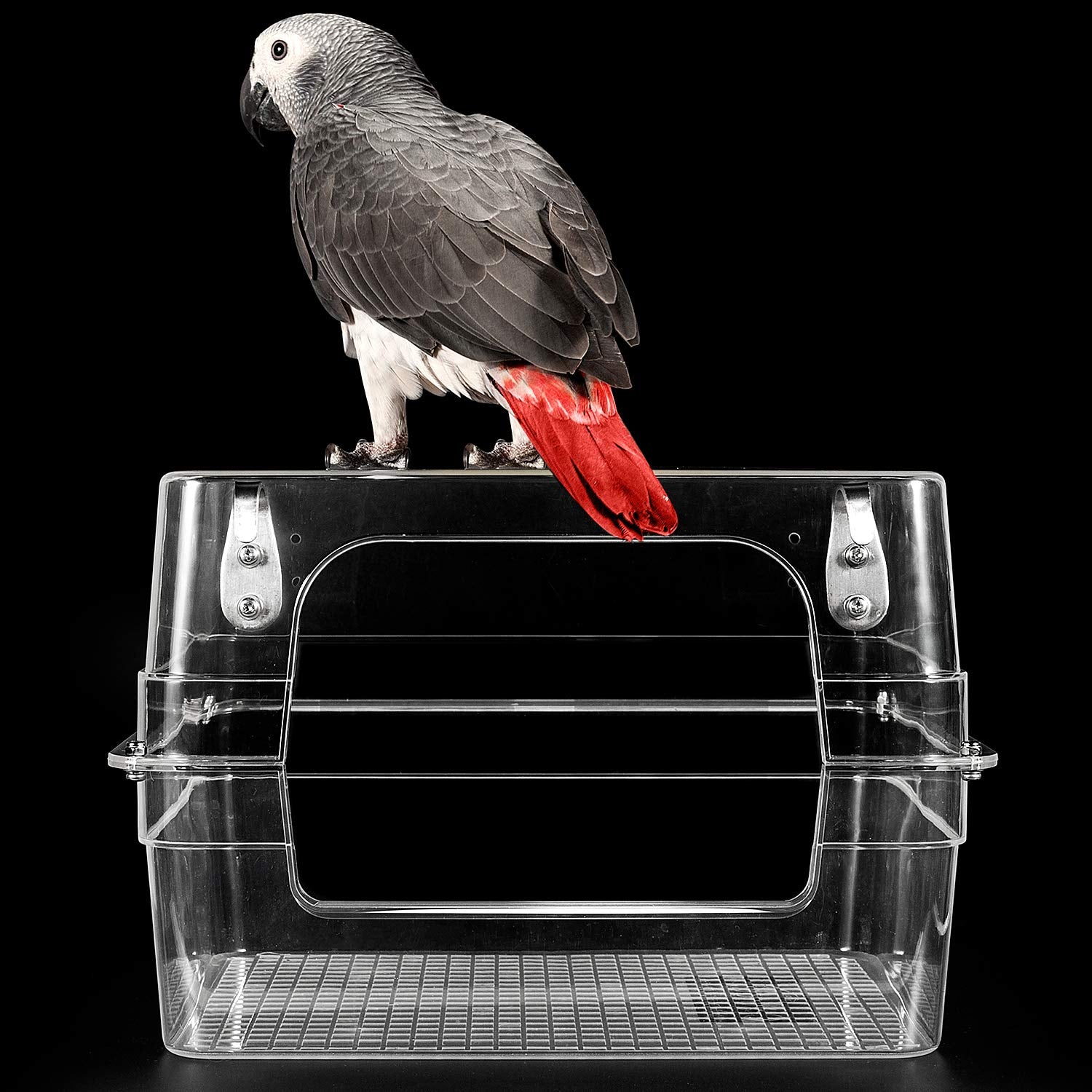 Colorday Large Bird Bath, Birds Bathtub For Amazon Parrots, African Grey, Conure, Cockatiel, Parakeet (13X11X8 Inch)