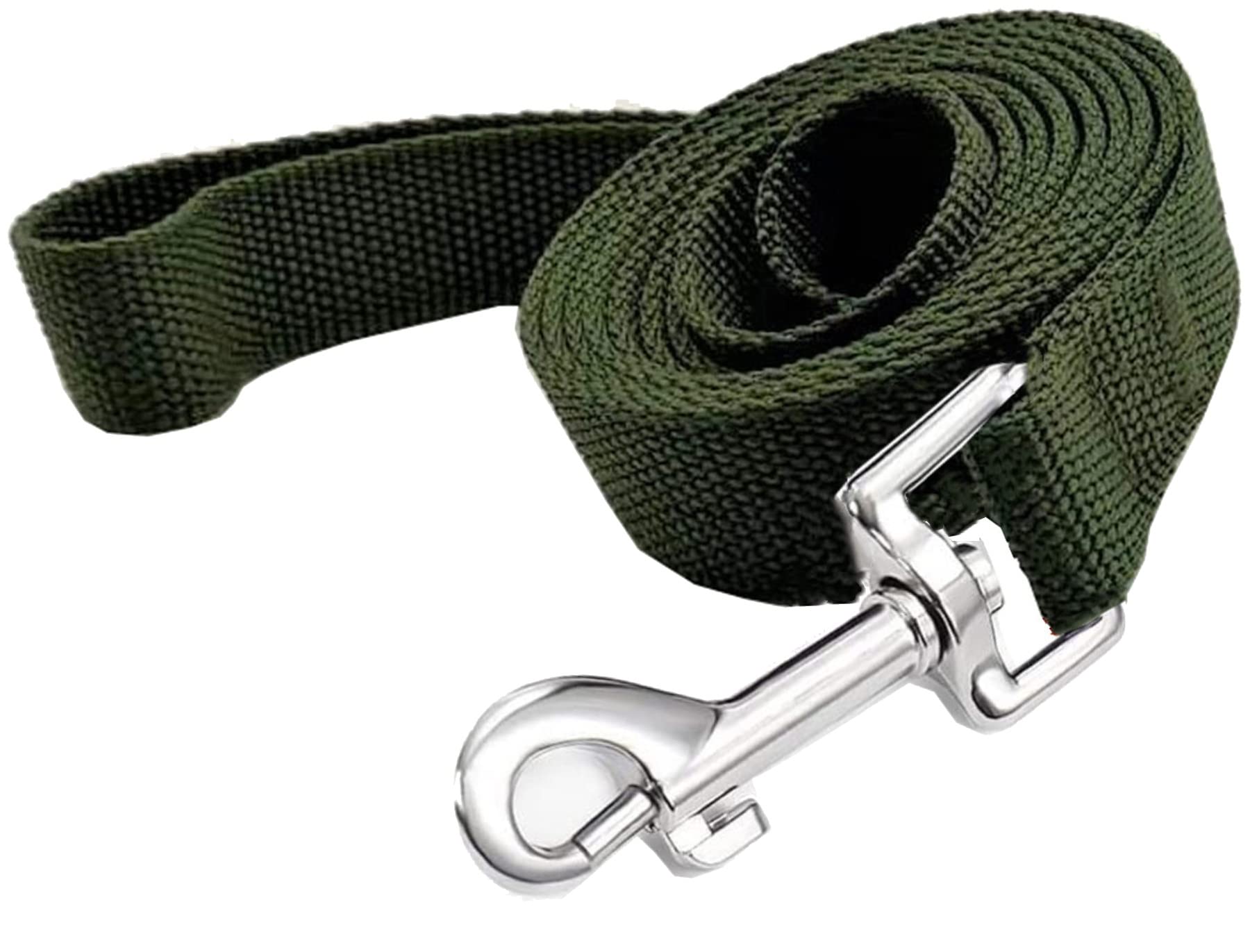 Taian 4Ft/5Ft/6Ft Strong Dog Leash, Nylon Dog Leashes For Small Medium Large Dogs (1 In X 5 Ft, Green)