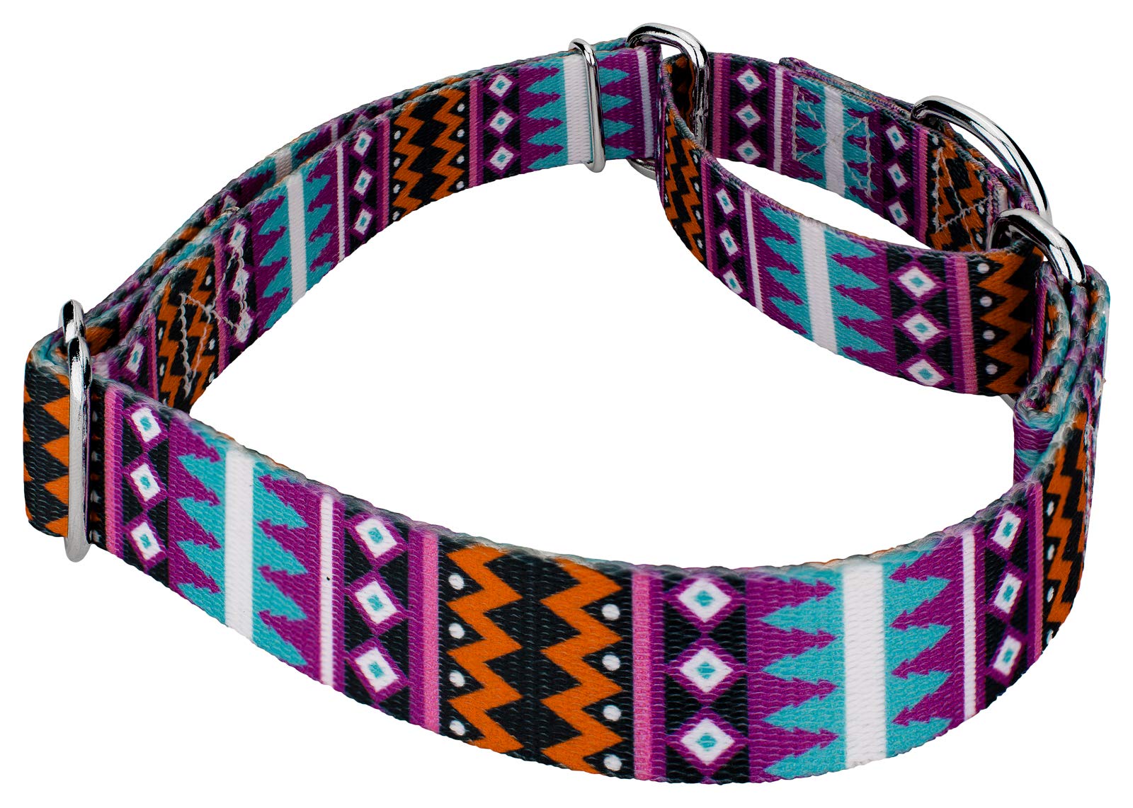 Country Brook Petz - Santa Fe Martingale Dog Collar - Country And Western Collection Featuring Rustic Designs (1 Inch, Extra Lar