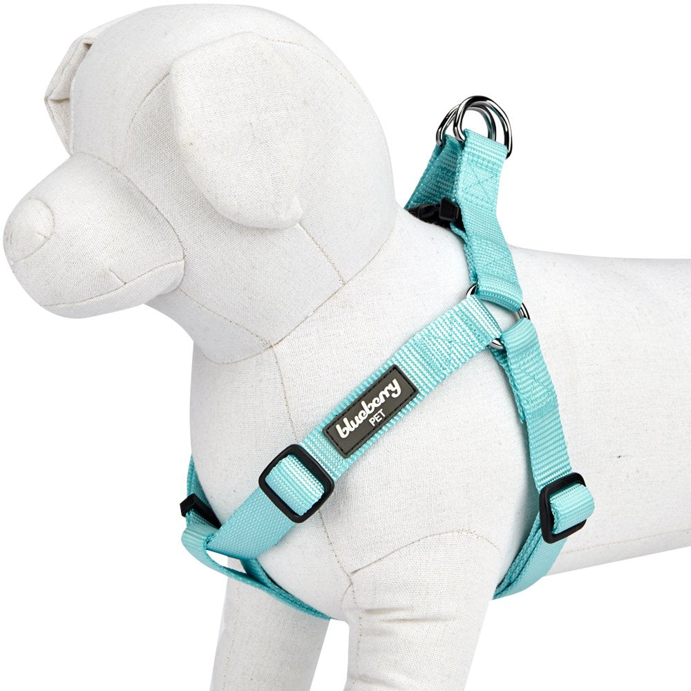 Blueberry Pet Essentials Classic Durable Solid Nylon Step-In Dog Harness, Chest Girth 26' - 39', Mint Blue, Large, Adjustable Harnesses For Puppy Boy Girl Dogs