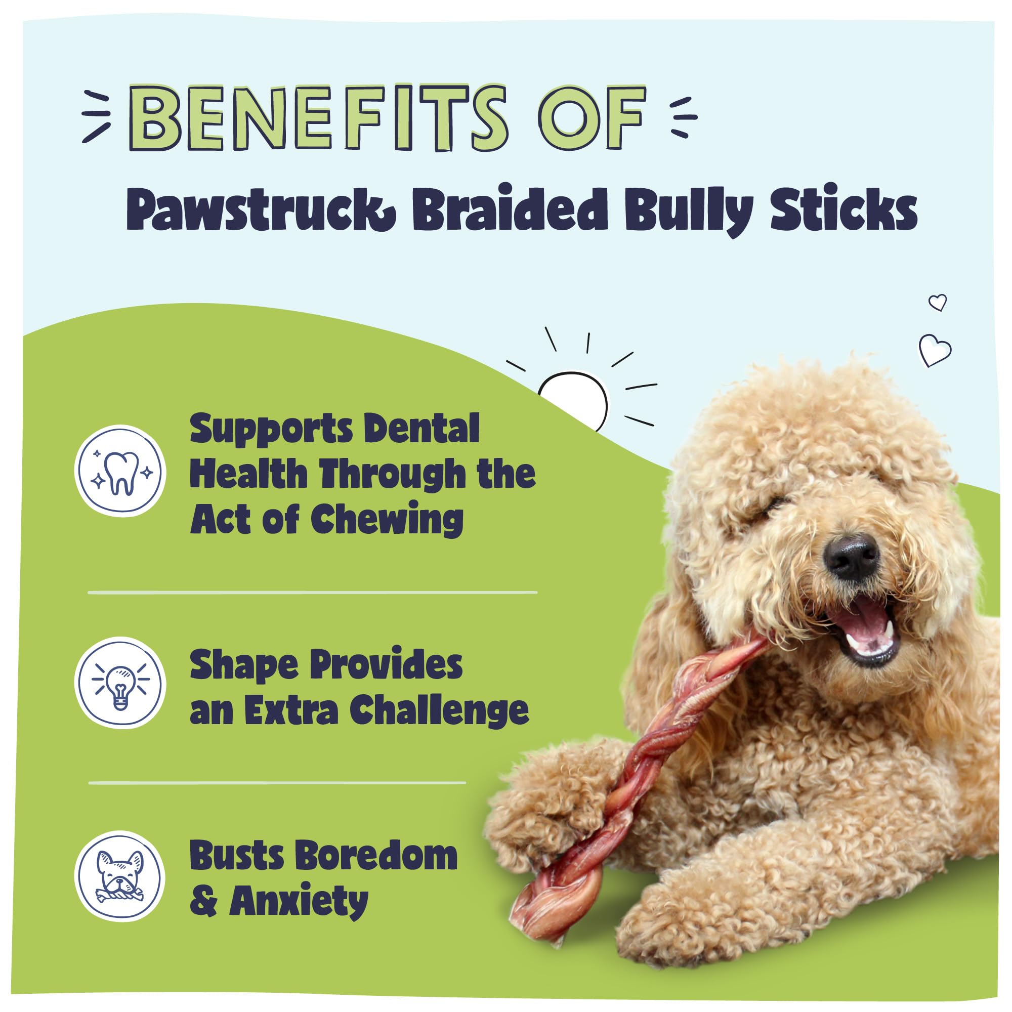 Pawstruck Natural 12 Braided Bully Sticks for Dogs - Tough, Long-Lasting, Rawhide-Free, Low-Odor, Single Ingredient Chew Treat f