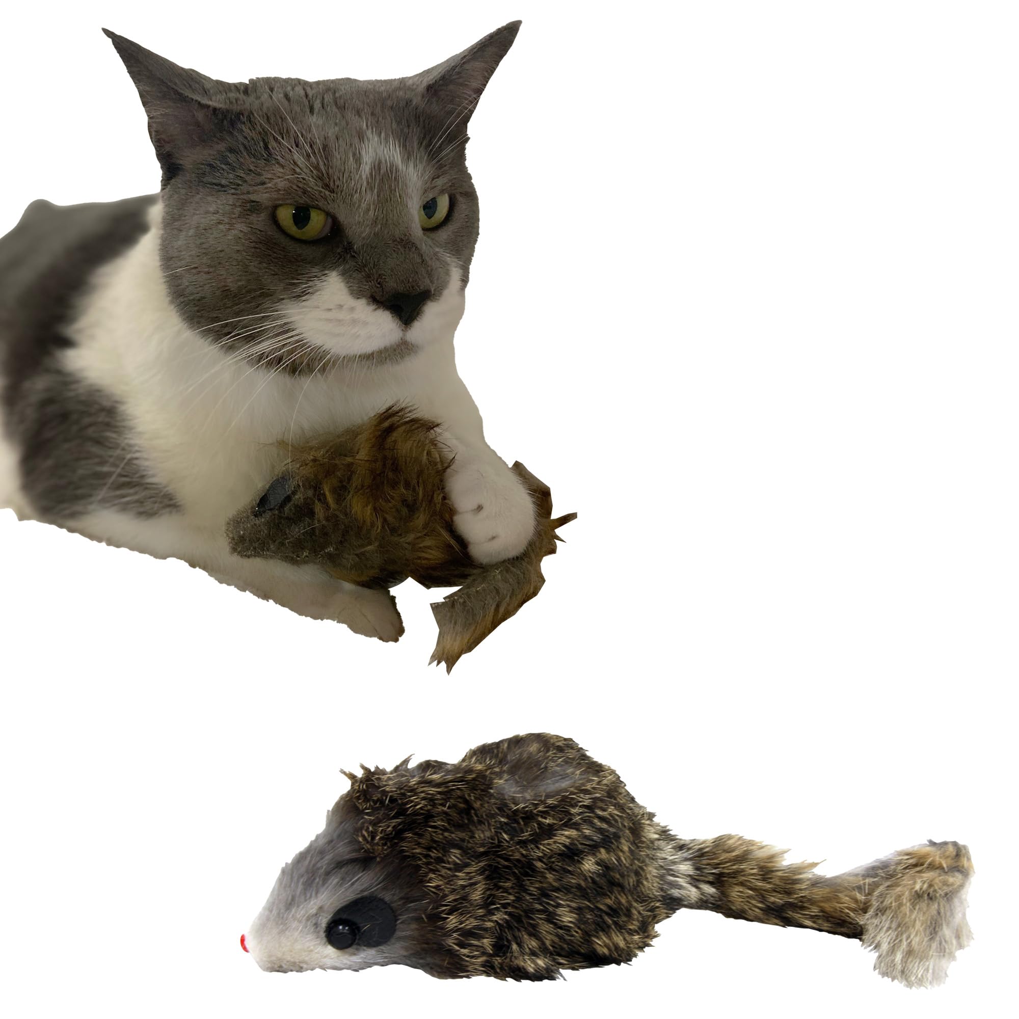 SP 4 1/2 FUR MOUSE