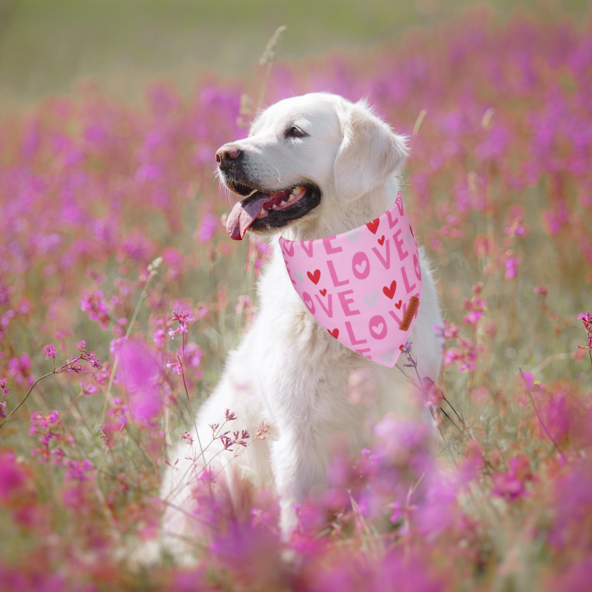 Adoggygo Valentine Dog Bandana, Heart And Love Pet Scarf, Premium Durable Fabric, Red Pink Valentine Bandanas For Medium Large D