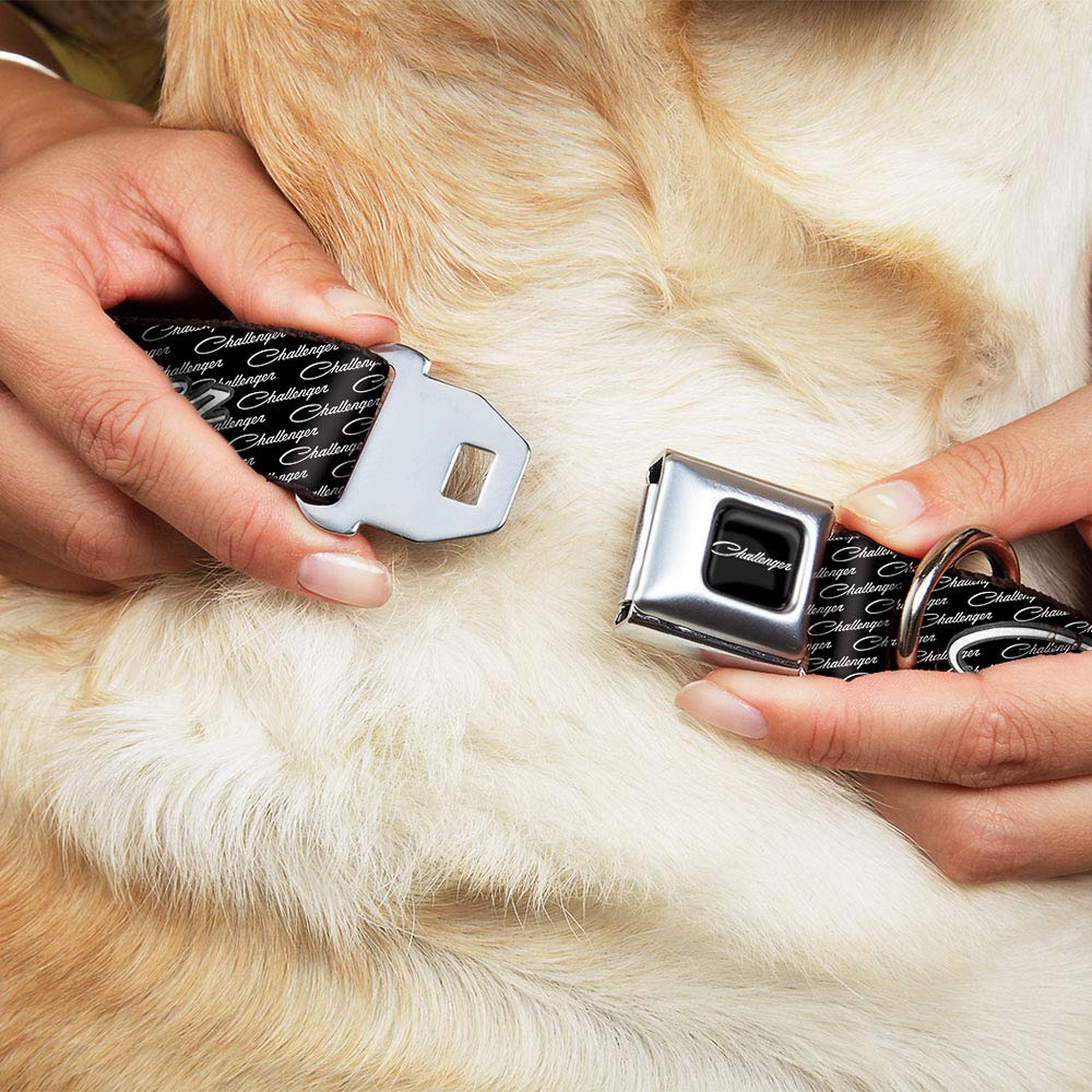 Buckle-Down Seatbelt Buckle Dog Collar - CHALLENGER Repeat w/Text Black/White - 1.5 Wide - Fits 16-23 Neck - Medium