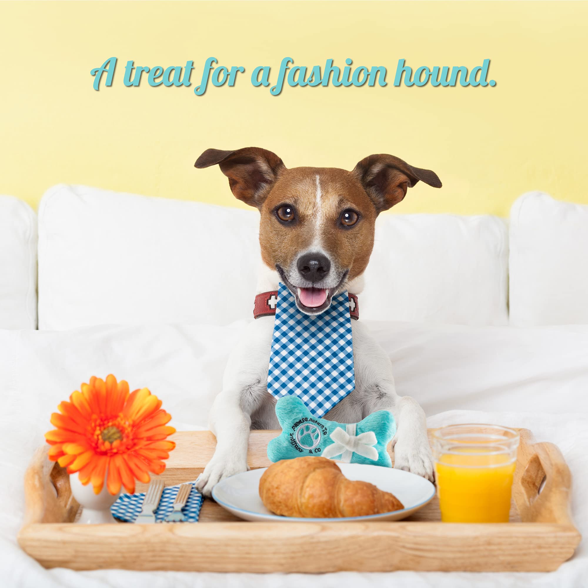 Dog Diggin Designs Runway Pup Collection | Unique Squeaky Parody Plush Dog Toys - Pr?-?Porter Dog Bones, Balls & More