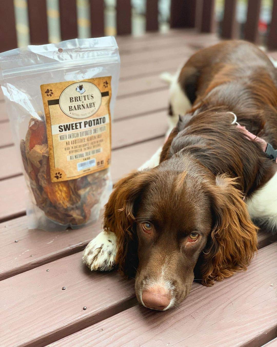 BRUTUS & BARNABY Sweet Potato Dog Treats - Support Sensitive Stomachs with USA-Grown, Hypoallergenic Treats That Smell as Good a