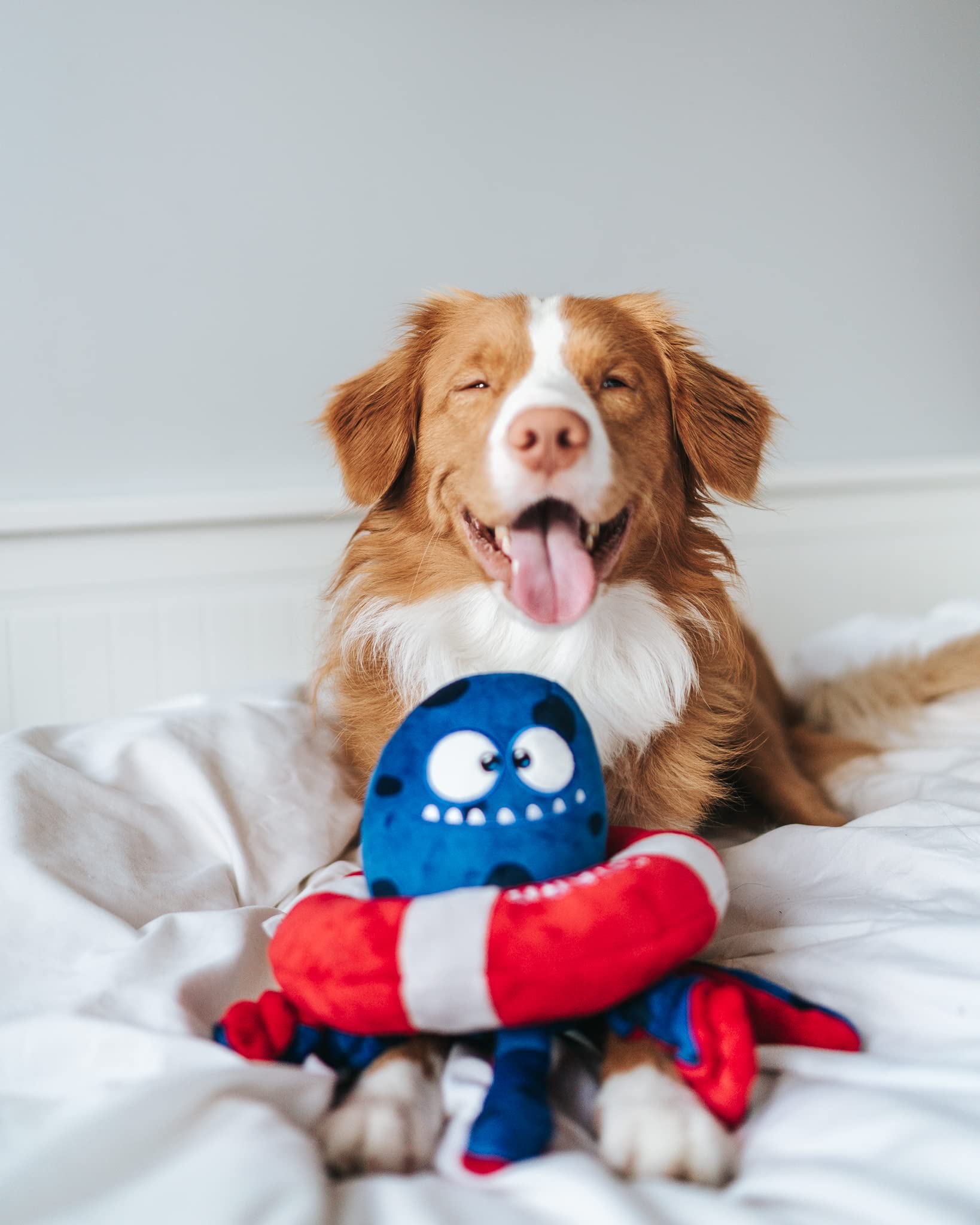 Bulltug Octopus Plush Dog Toy With Large Spiky Squeaker Inside | 3-In-1 Interactive Enjoyment With Squeaky Buoy Ring, Crinkle Te