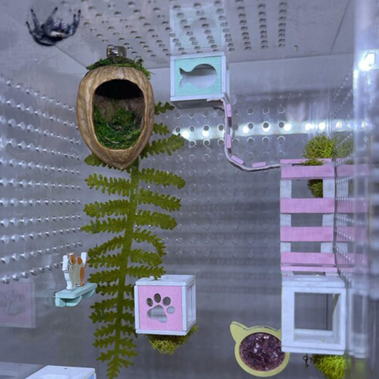 Daerky Walnut Skin Spider Shelter - Magnetic Jumping Spider Habitat, Handmade Enclosure