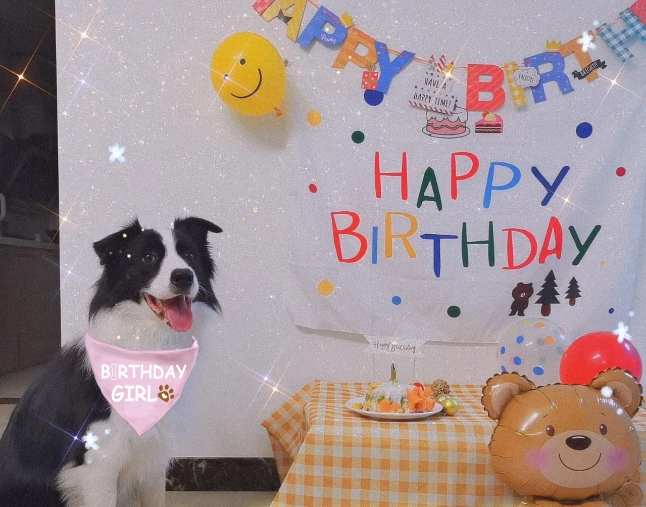 Dog Birthday Bandana Dog Birthday Boy Girl Dog Birthday Supplies For Small Medium Large Pet(Large)