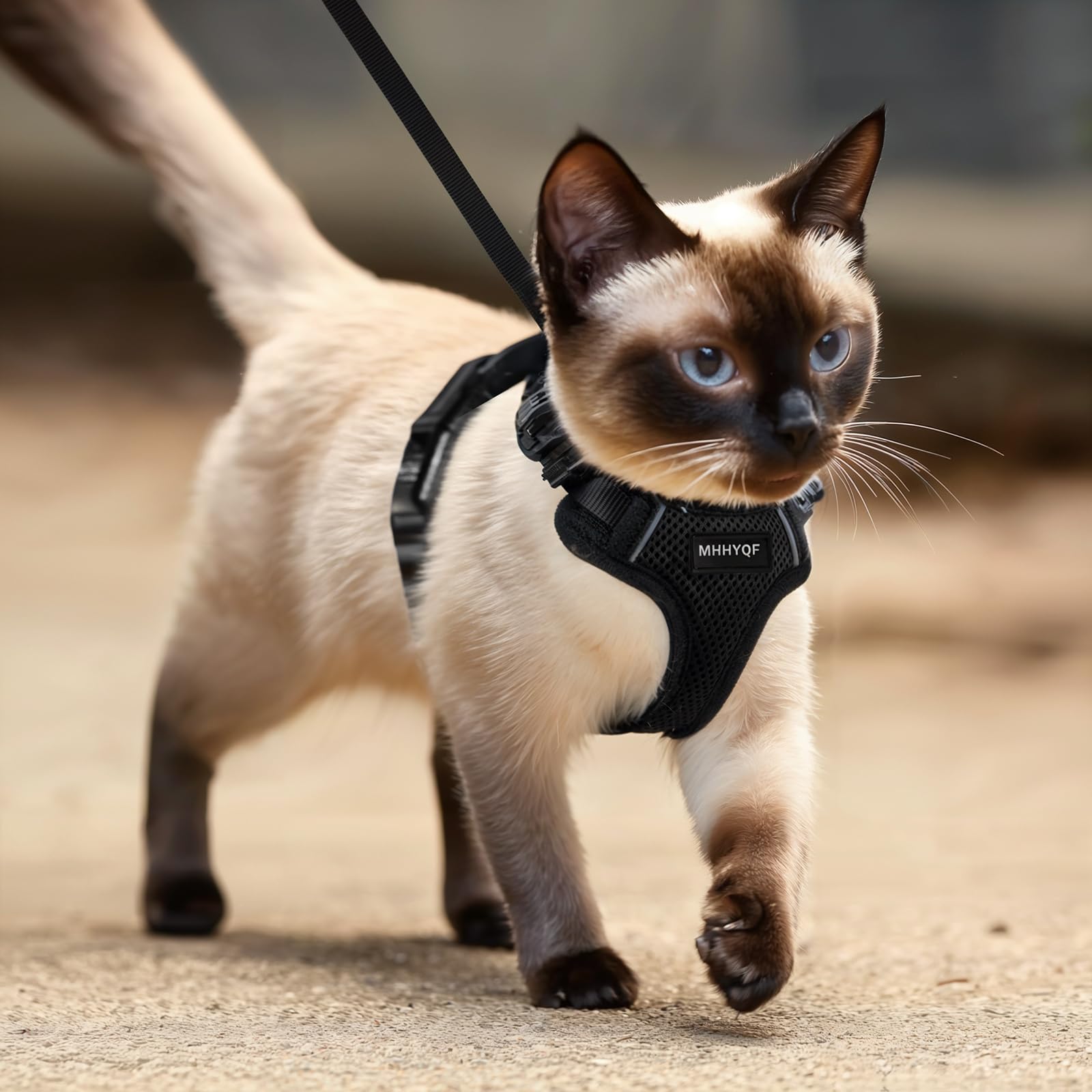Cat Harness and Leash for Walking, Cat Car Harness, Escape Proof Soft Adjustable Vest Harnesses for Cats, Easy Control Breathabl