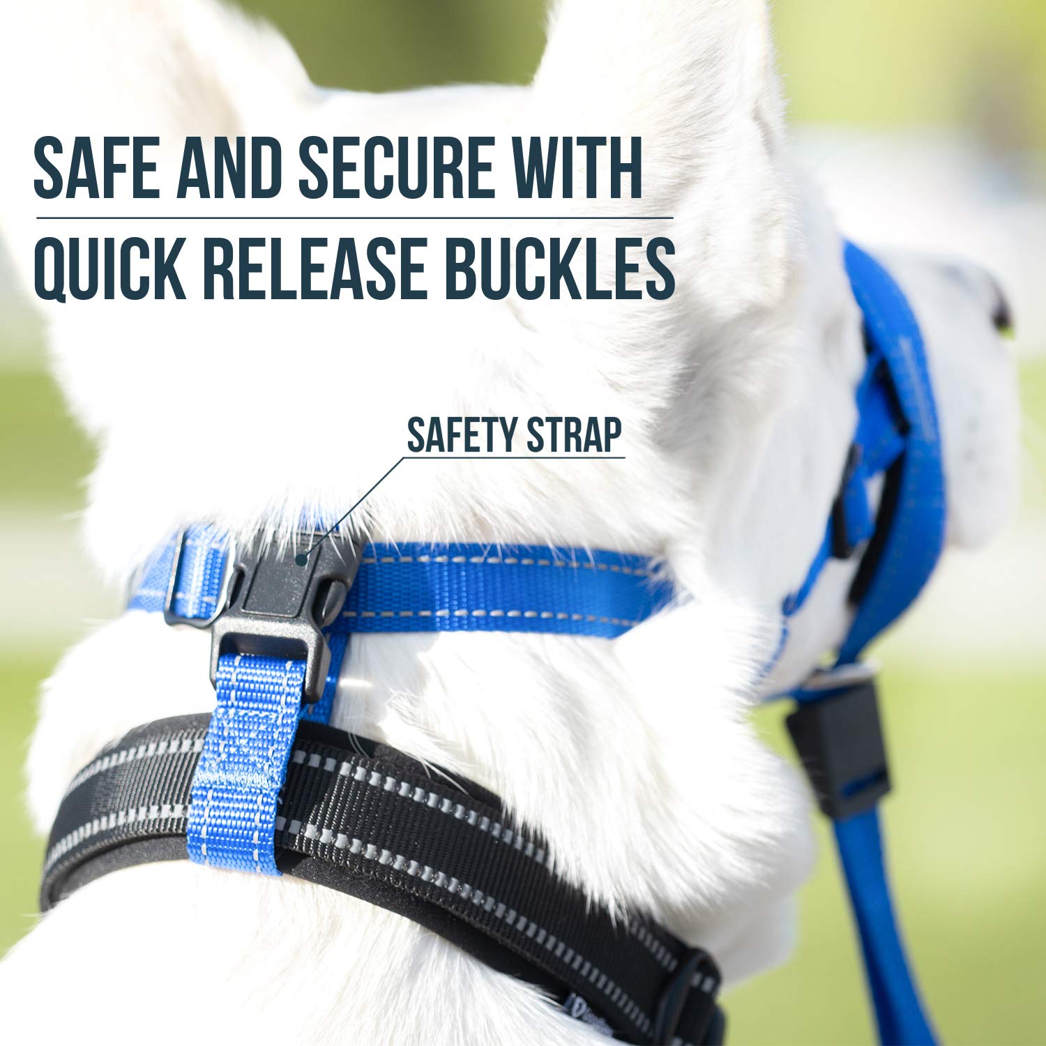 Goodboy Dog Head Halter With Safety Strap - Stops Heavy Pulling On The Leash - Padded Headcollar For Small Medium And Large Dog Sizes - Head Collar Training Guide Included (Size 3, Blue Nylon)