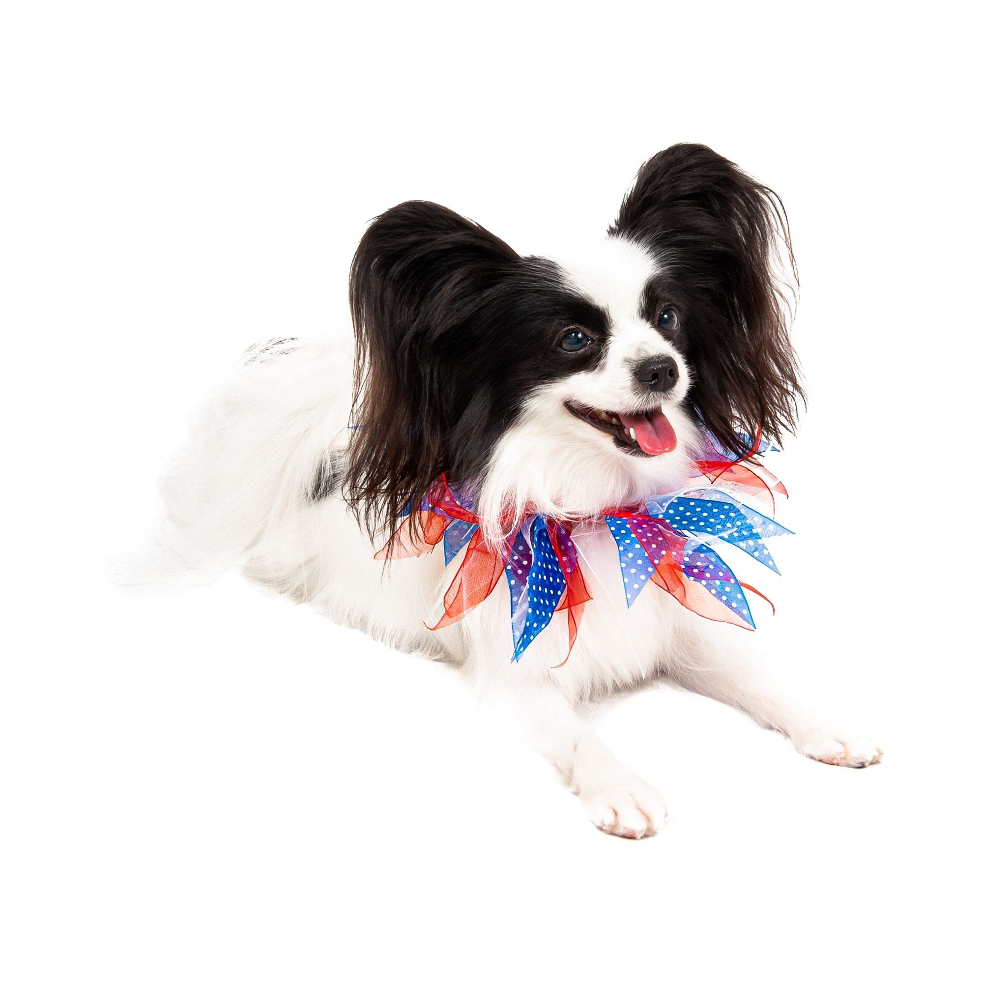 Midlee Medium Patriotic Dots 4Th Of July Dog Collar