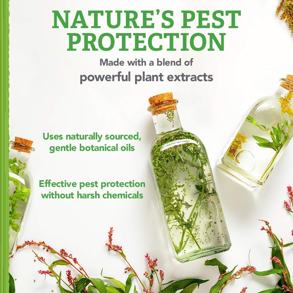 Natural Care Repellent Flea And Tick Collar For Dogs And Puppies - 4 Month Flea & Tick Treatment For Dogs - Repels Fleas & Ticks