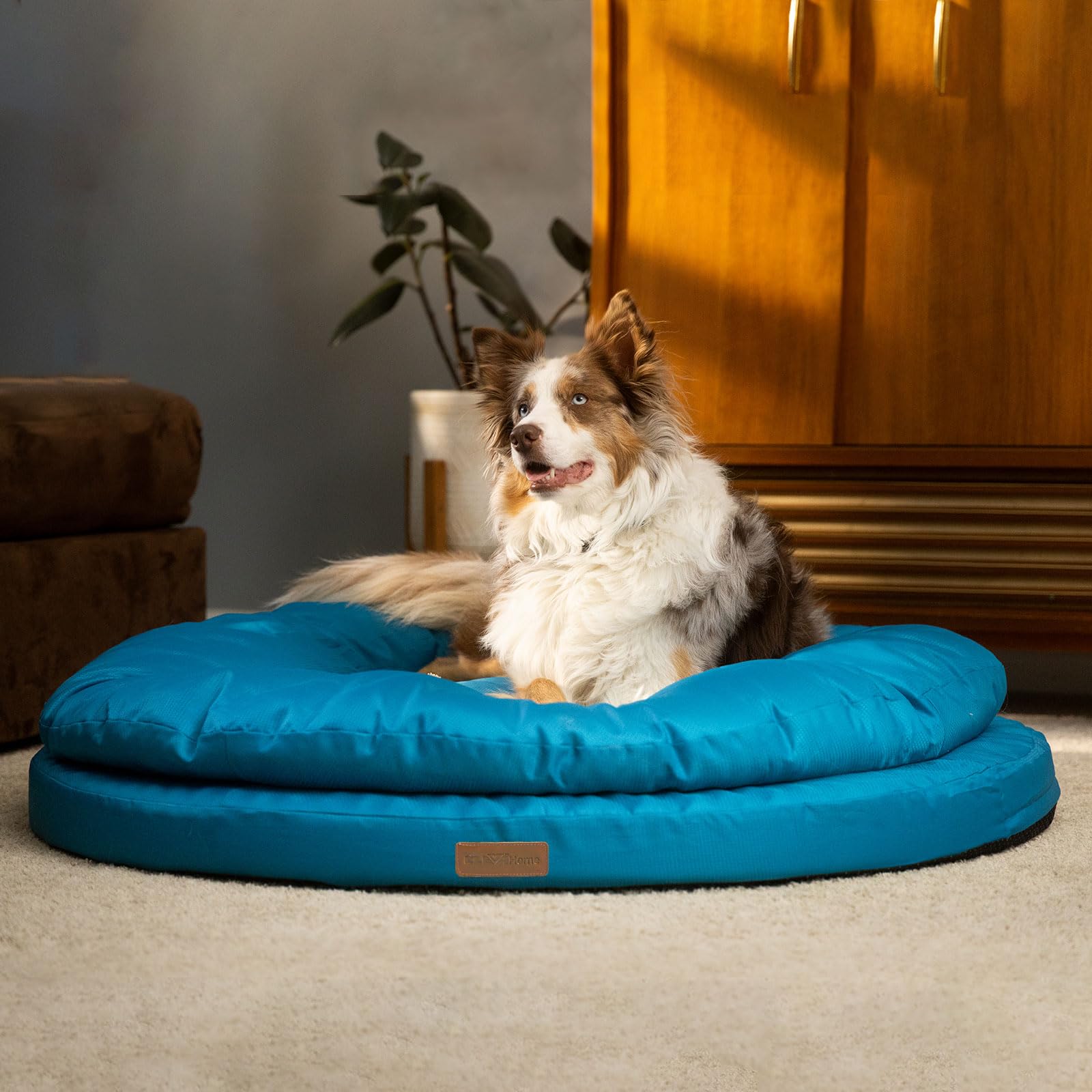 ClevaHome Orthopedic Dog Beds for Extra Large Dogs, 42 inches Ultra-Durable Round Pet Bed with Waterproof, Washable, Removable C
