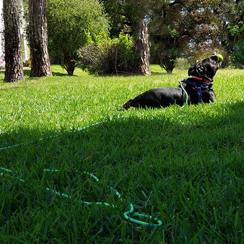 Btinesful 8Ft/12Ft/20Ft/30Ft/50Ft/75Ft Dog Tie-Out Long Tether Rope Dog Leash, Outdoor Dog Yard Leash- Large Medium Small Dogs Training, Playing, Camping, Backyard (Green, 12 Foot)