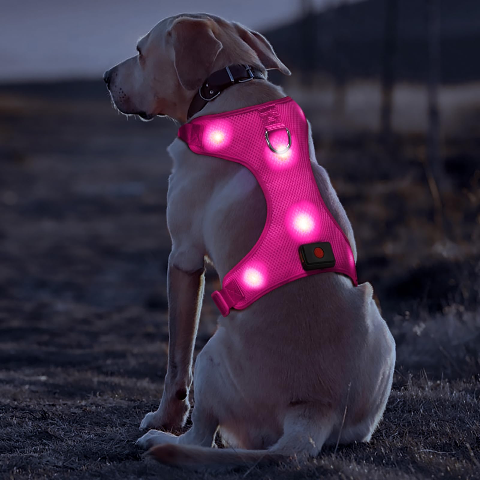 DOMIGLOW Light Up Dog Harness, No-Pull LED Dog Harness Light, Rechargeable Glowing Pet Harness for Night Walking & Camping (Hotp