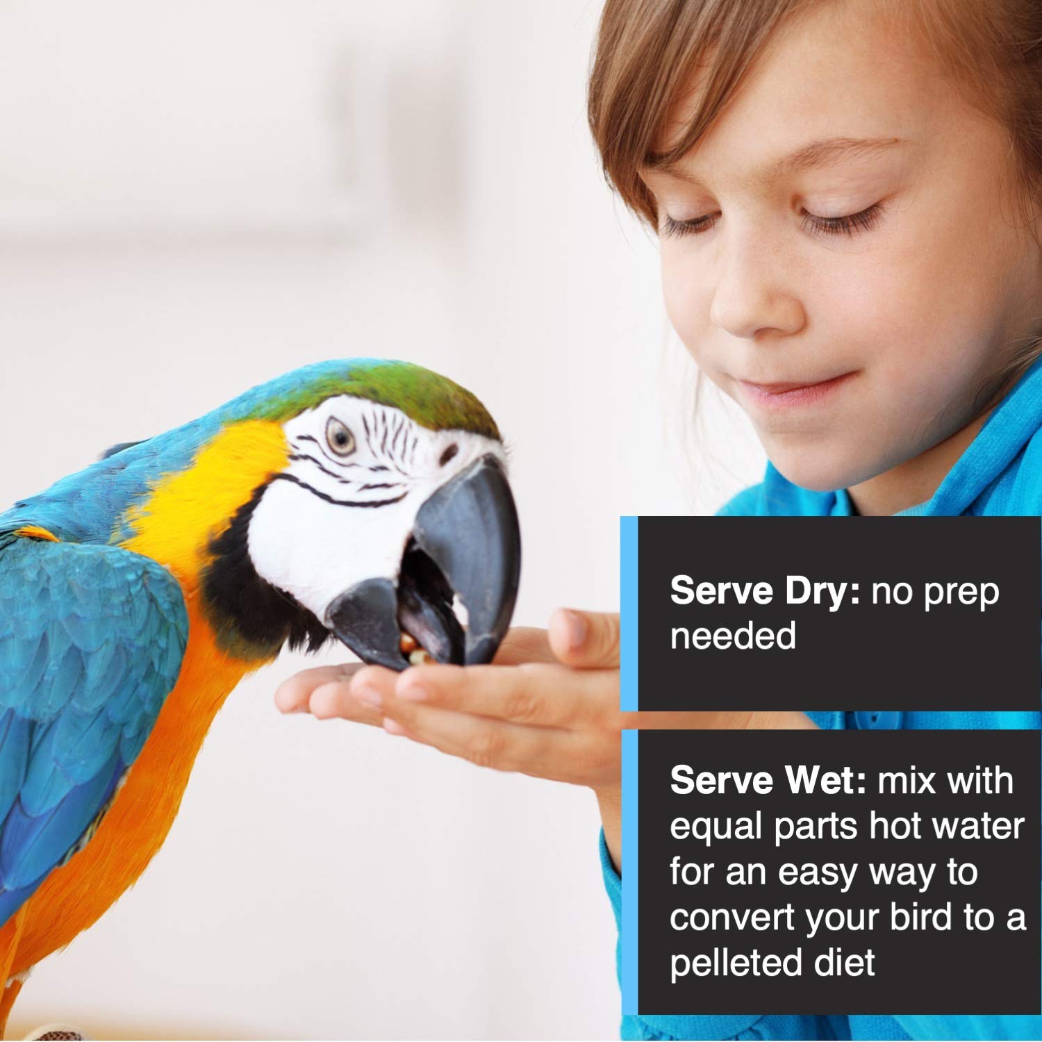 HARI Tropimix Bird Food for Budgies, Canaries And Finches, Hagen Parrot Food with Seeds, Egg, Fruits and Vegetables, Egg Food Mi