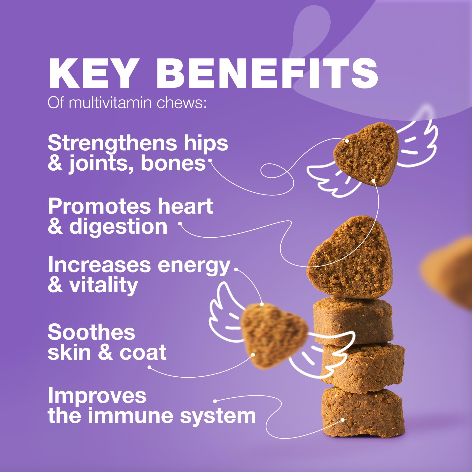 Dog Vitamins 15 in 1 - Dog Multivitamin Chews with MSM for Hip & Joint Health - Dog Supplement for Itchy Skin Relief - Multivita