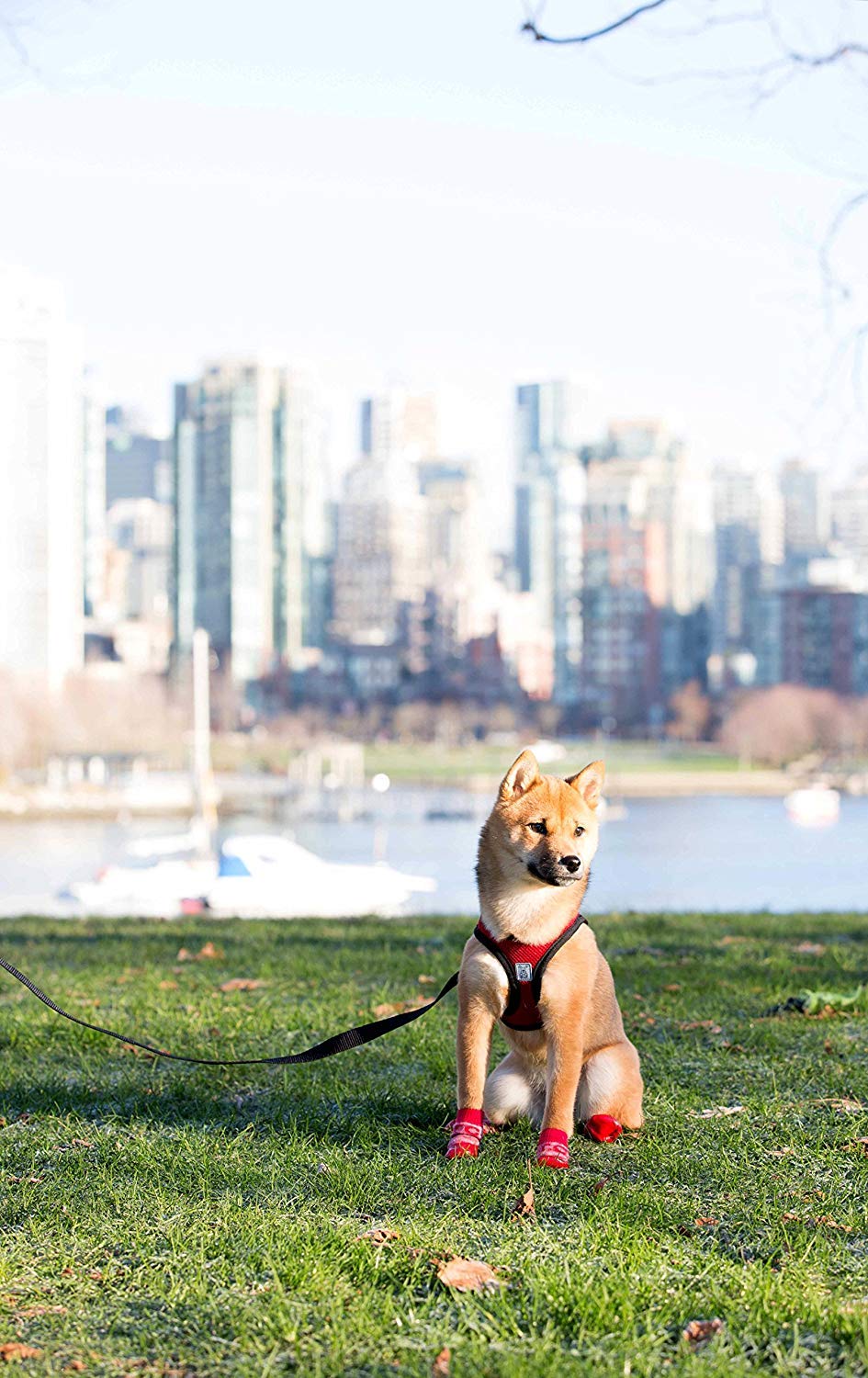 Rc Pet Products Step In Cirque Soft Walking Dog Harness, Large, Red