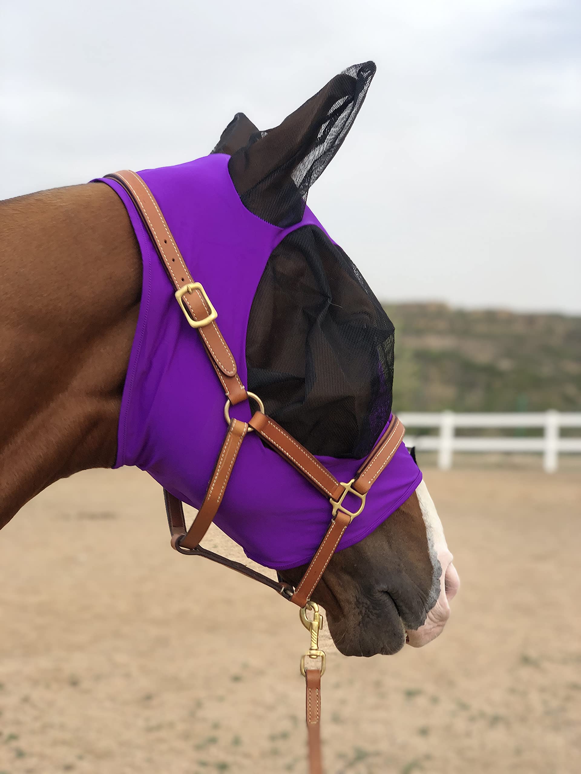 Horse Fly Mask Super Comfort Horse Fly Mask Elasticity Fly Mask with Ears We Only Make Products That Horses Like (Dk Purple, M)