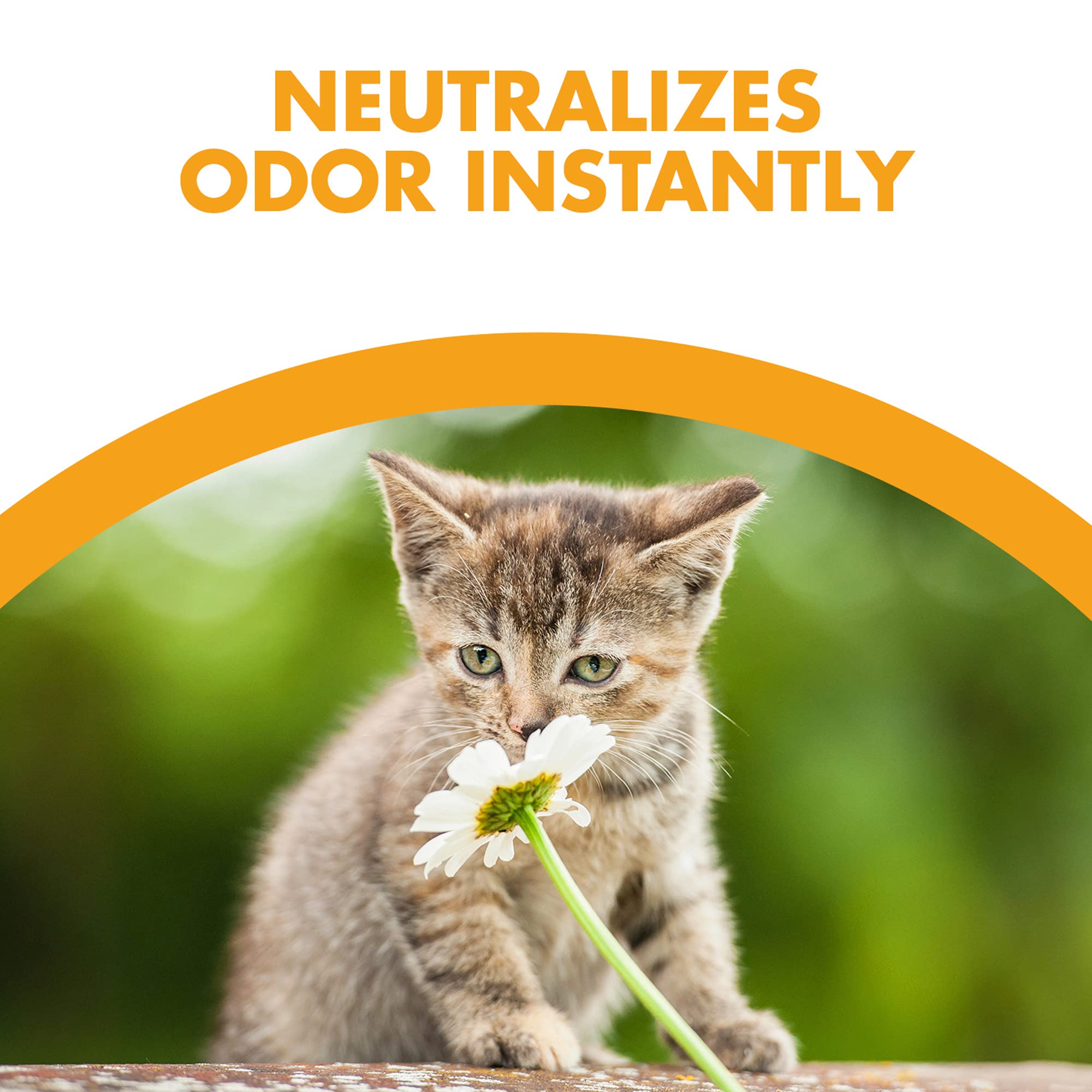 Feline Pine Cat Litter Original 7Lb