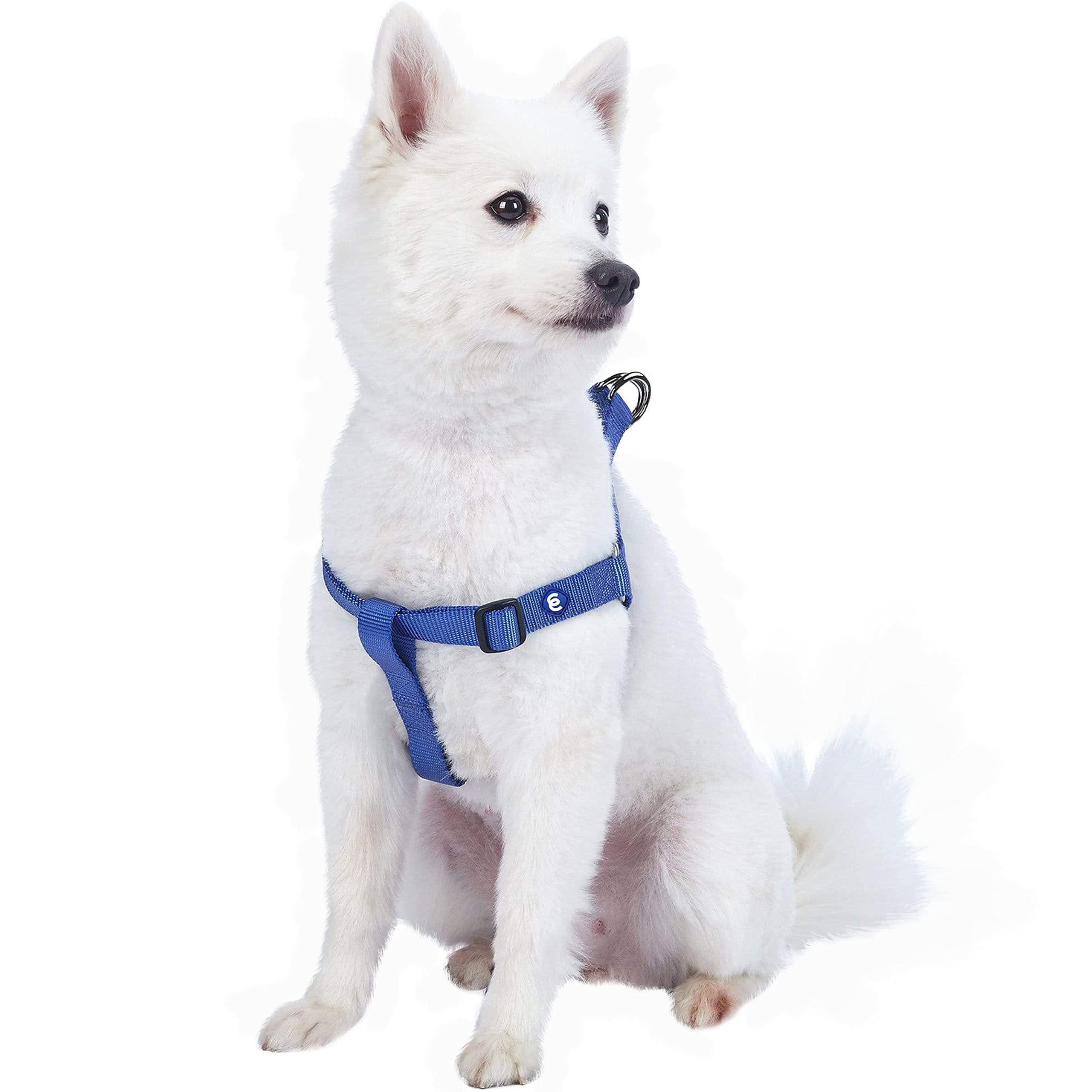 Blueberry Pet Essentials Classic Durable Solid Nylon Step-In Dog Harness, Chest Girth 26' - 39', Marina Blue, Large, Adjustable Harnesses For Puppy Boy Girl Dogs