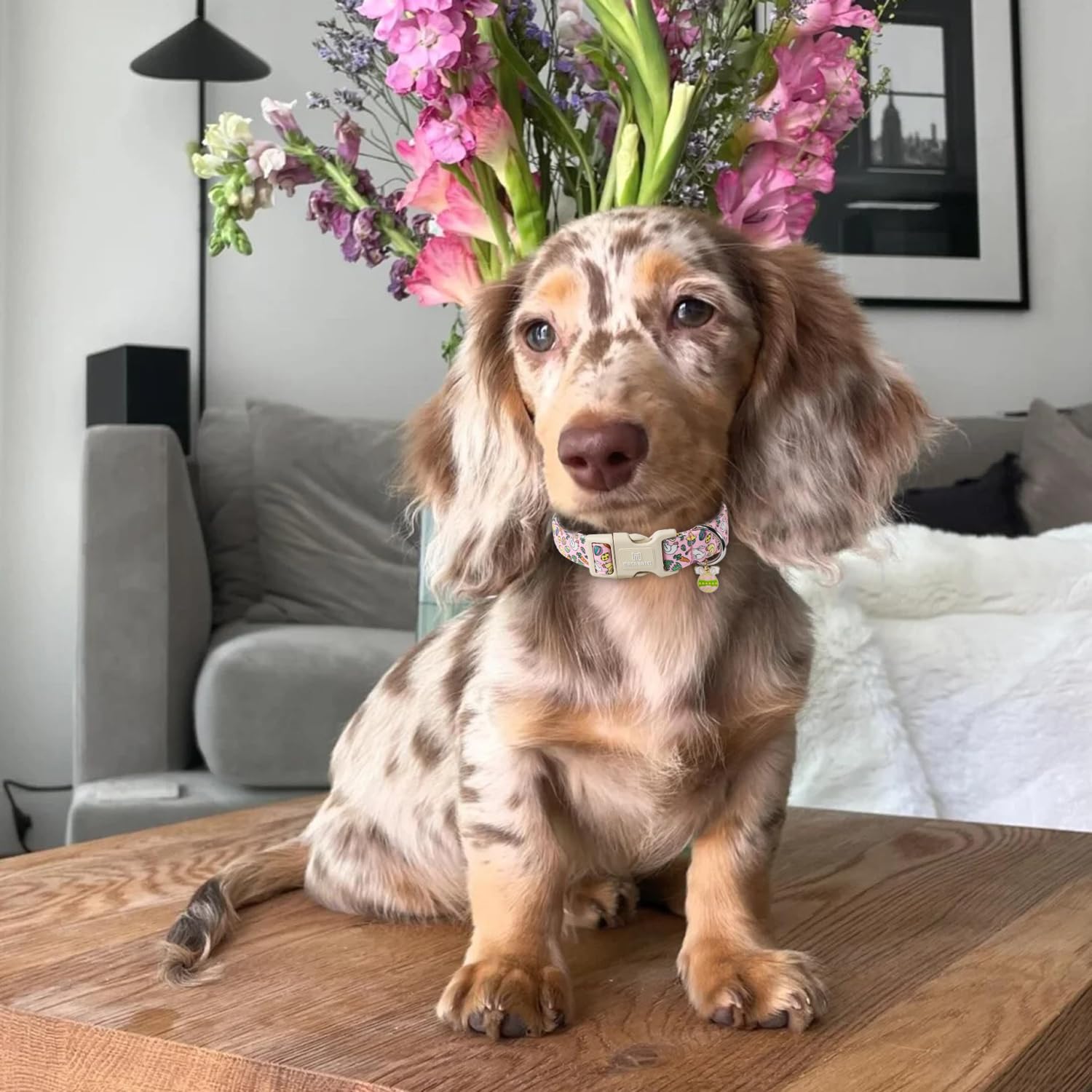 Maca Bates Easter Day Dog Collar Egg And Bunny Chicken Dogs Collars Soft Durable Cute Adjustable Pink Eggs Collor Easters Rabbit