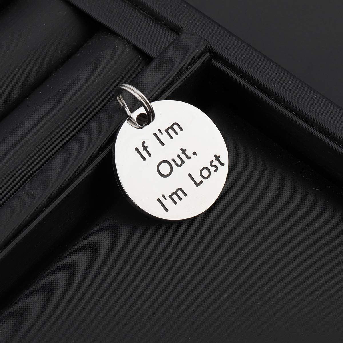 Pet Id Tag Engraved If Im Out Im Lost Personalized Collar Tags Gifts For Dog Cat (Silver)