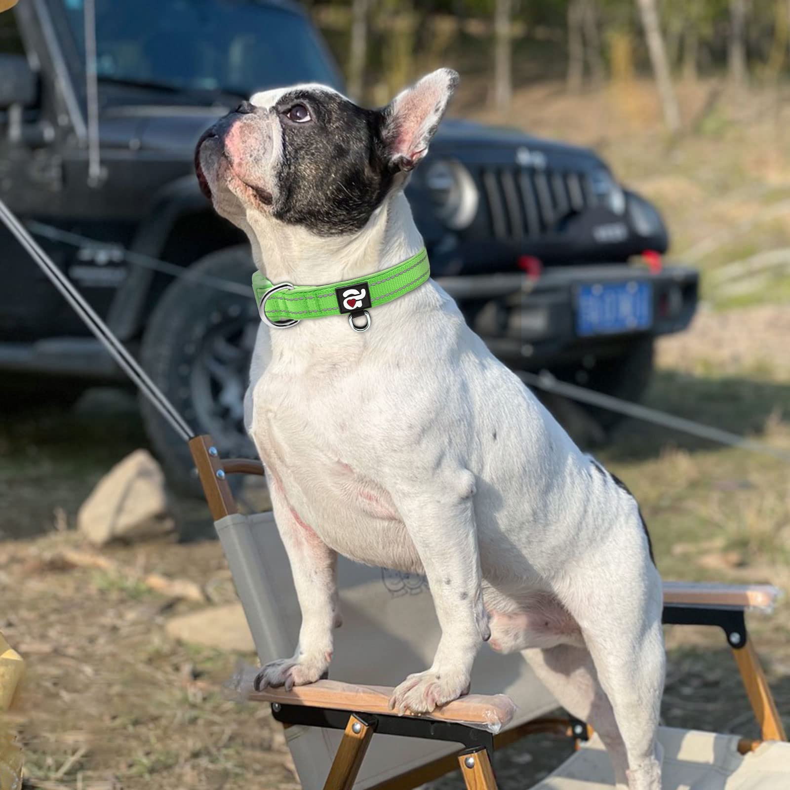 Azuza Reflective Dog Collar, Soft Neoprene Padded Pet Collar With Id Tag Ring, Adjustable For Medium Dogs,Green,M