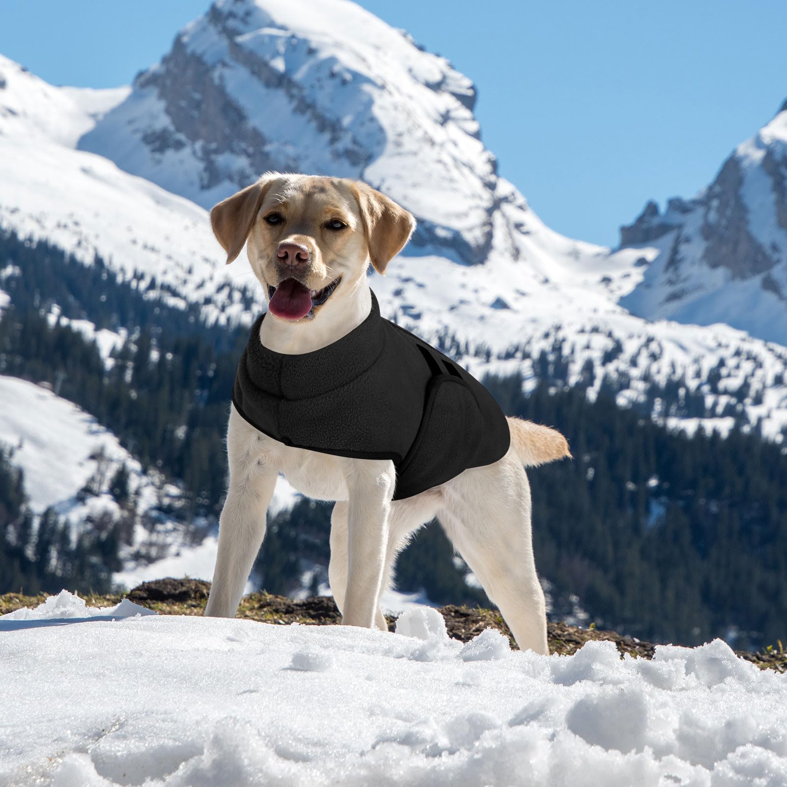 Queenmore Xxs Dog Sweaters, Soft Fleece Vest Pullover Dog Jacket With Leash Hole, Warm Winter Dog Clothes Cold Weather Doggy Dac