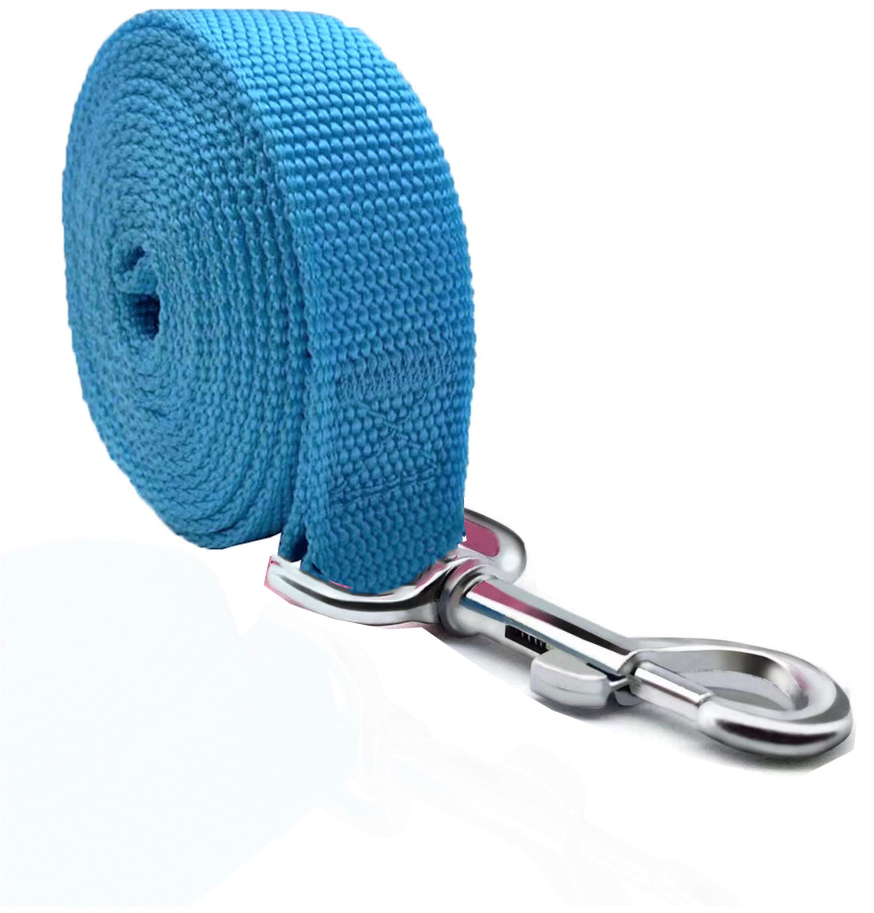 Taian 4 Ft Strong Dog Leash, Nylon Dog Leashes For Small Medium Large Dogs Blue